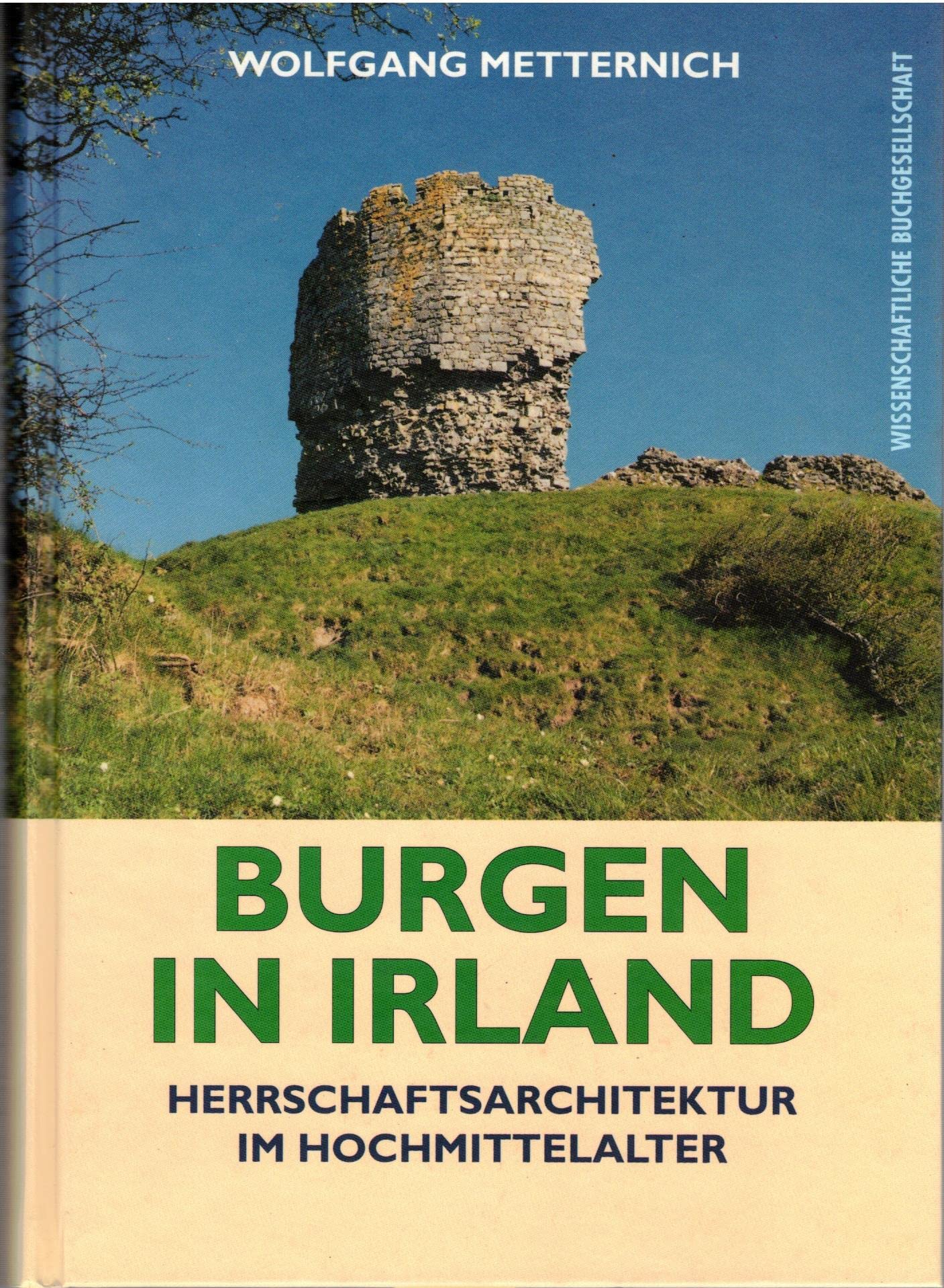 Burgen in Irland: Herrschaftsarchitektur im Hochmittelalter Architecture