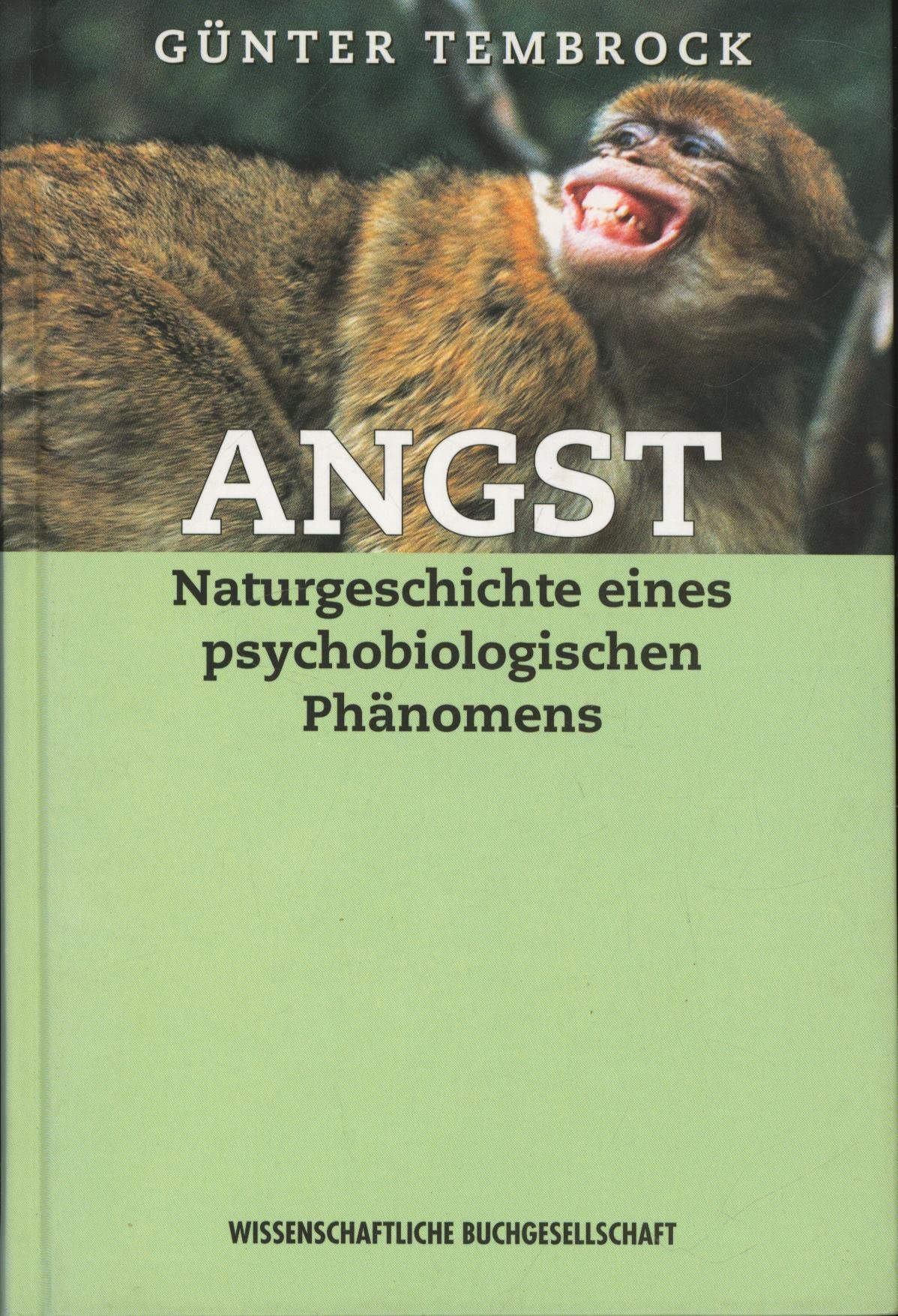 Angst Leisure, Home & Garden