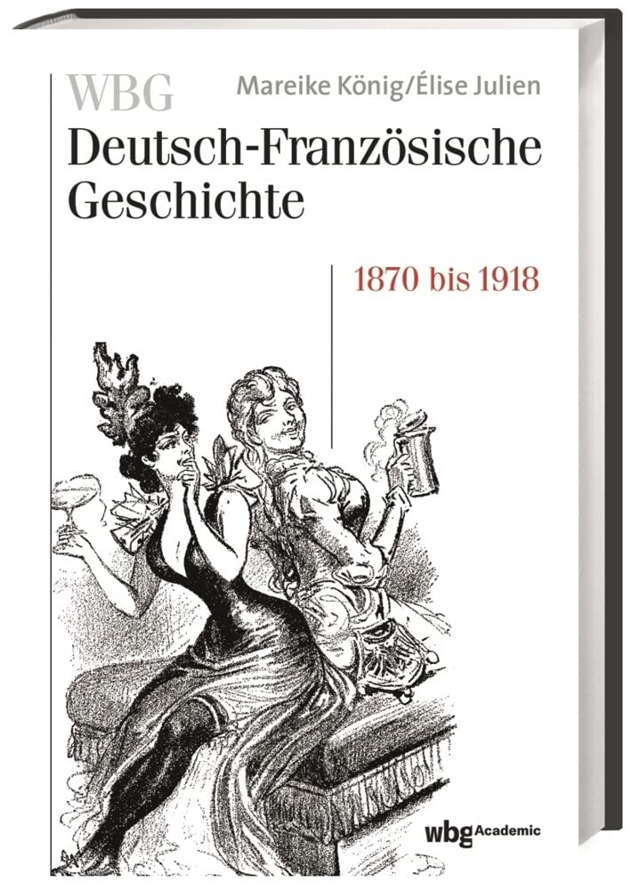 WBG Deutsch-Französische Geschichte Bd. VII: Verfeindung und Verflechtung. Deutschland und Frankreich 1870-1918 Politics & History