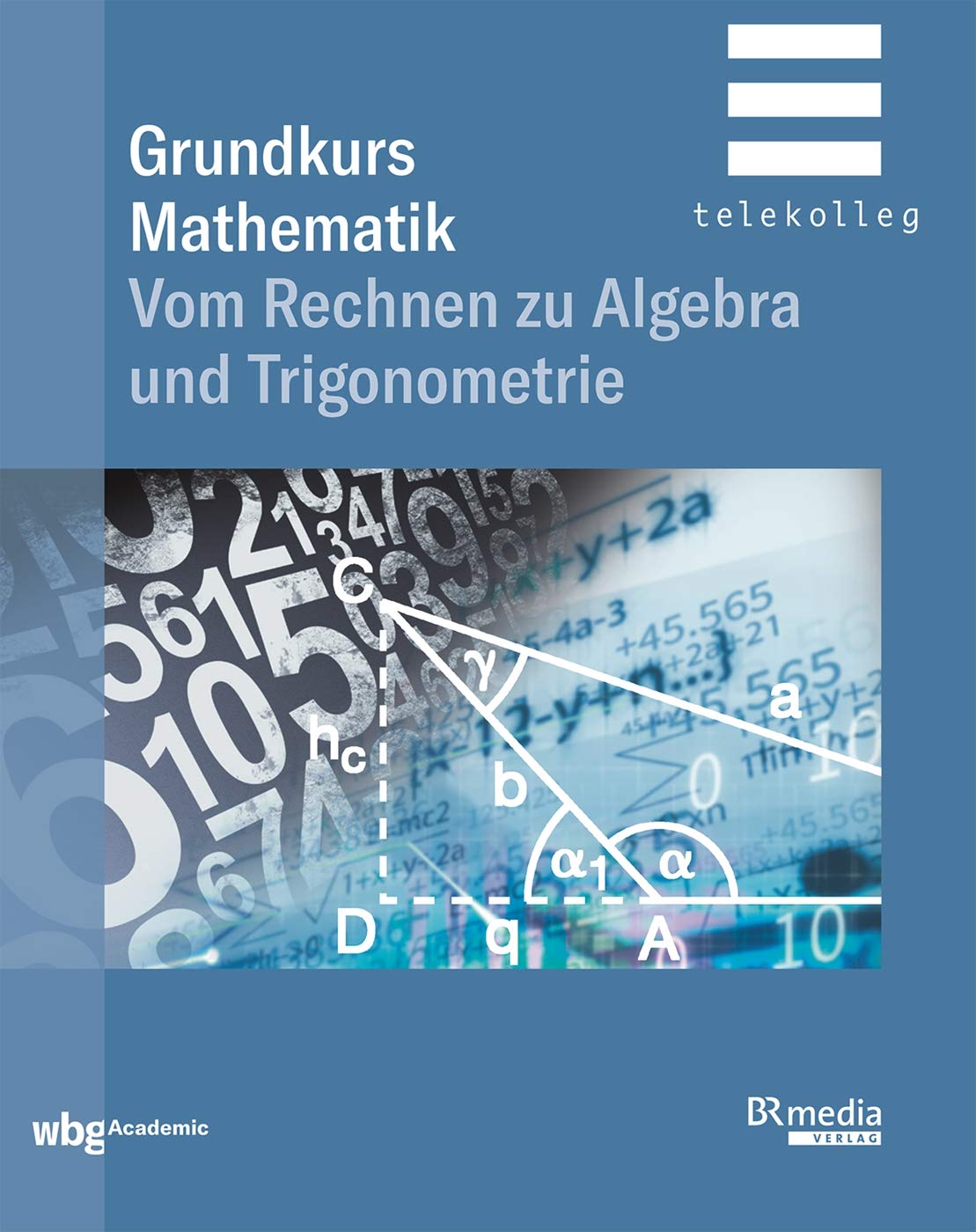Grundkurs Mathematik Mathematics Books