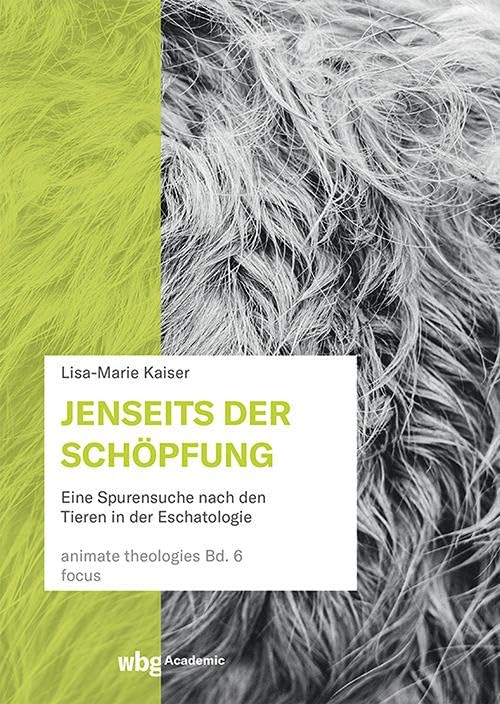 Product Image: Jenseits der Schöpfung