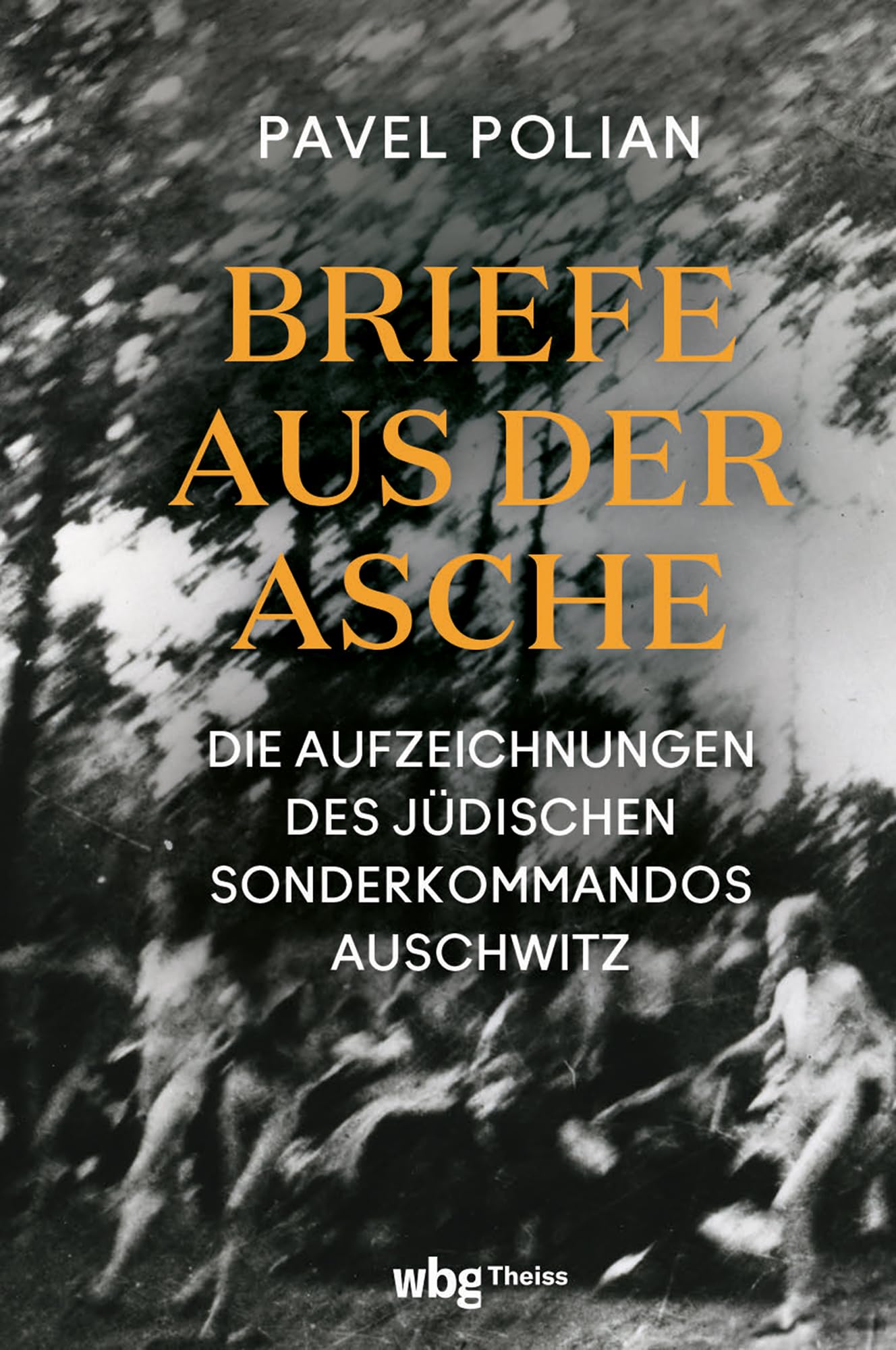Product Image: Briefe aus der Asche