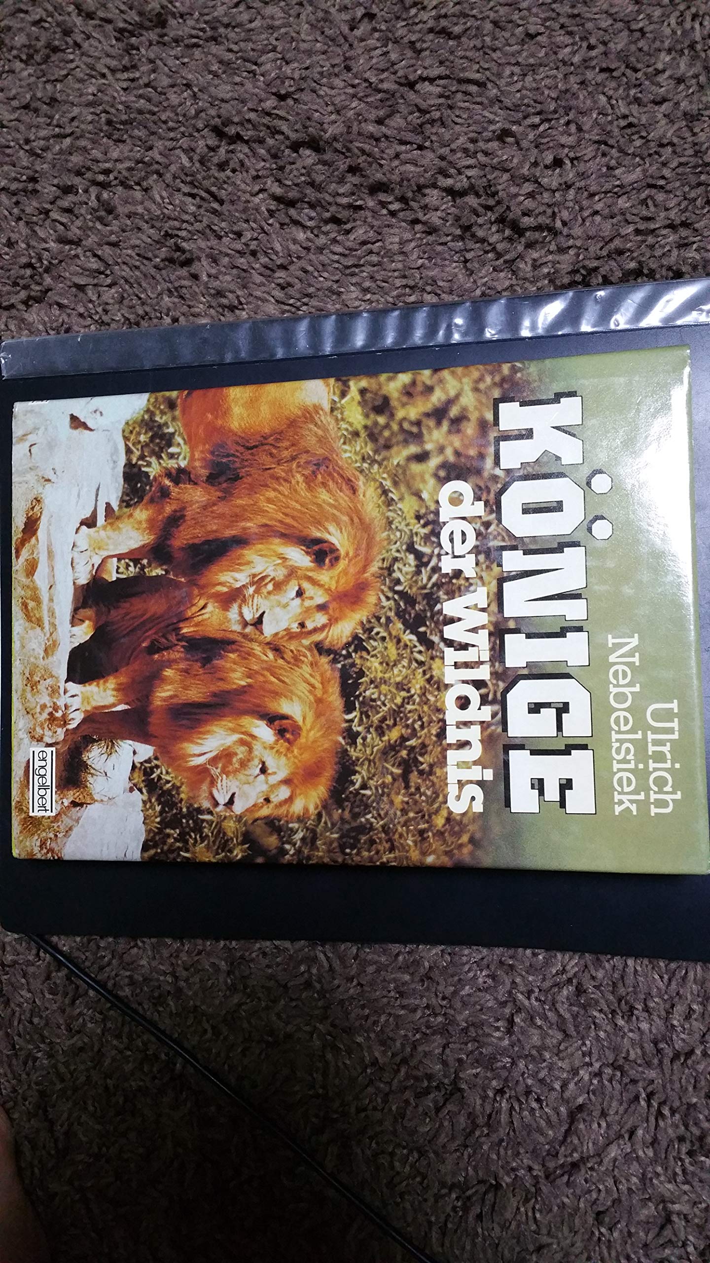 Könige der Wildnis Books