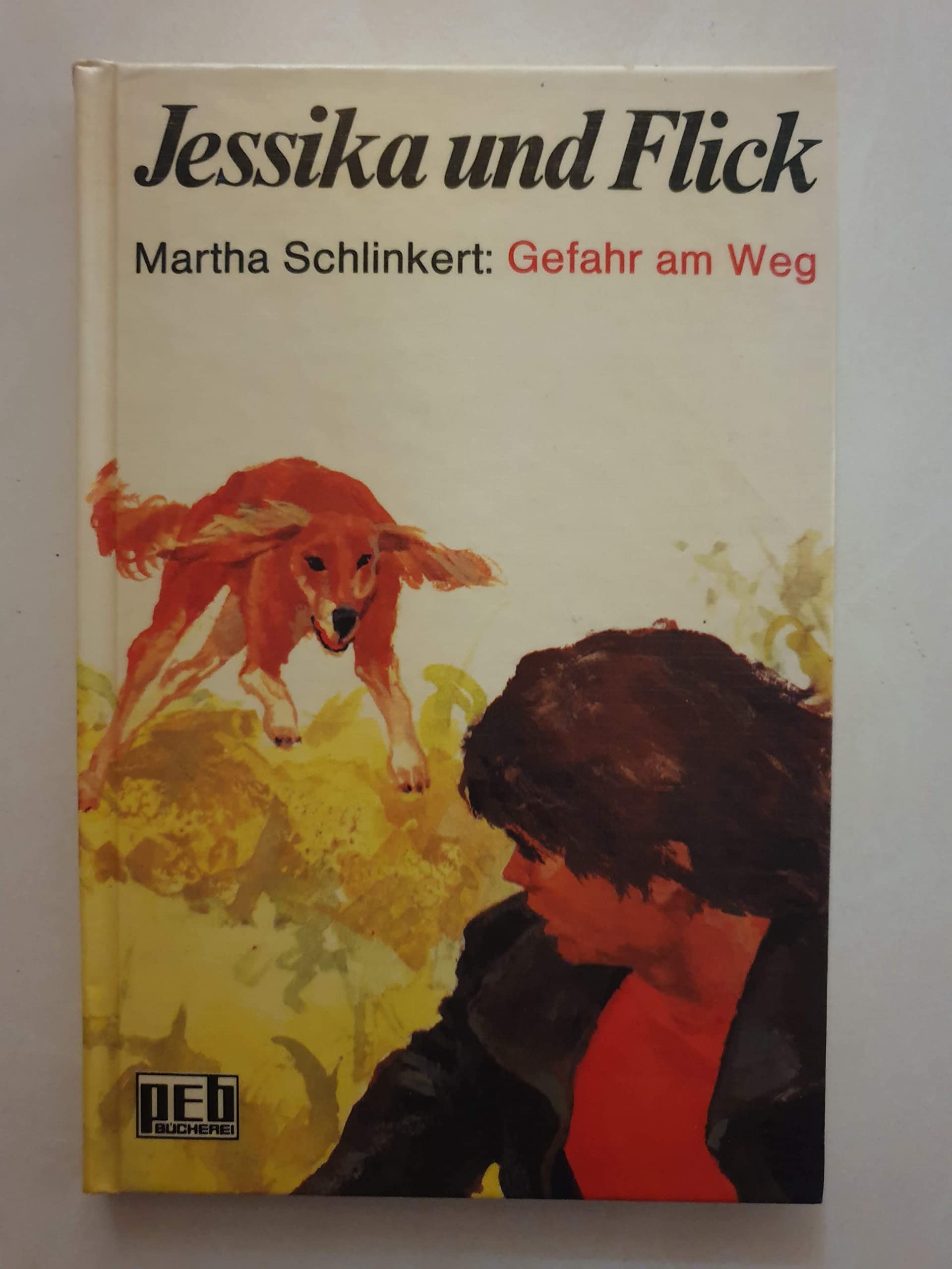 Jessika und Flick / Gefahr am Weg. Books