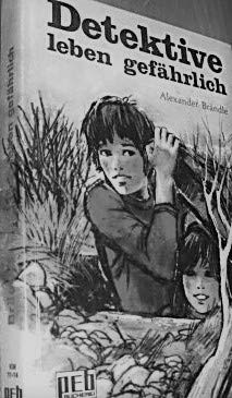 Detektive leben gefährlich. Books