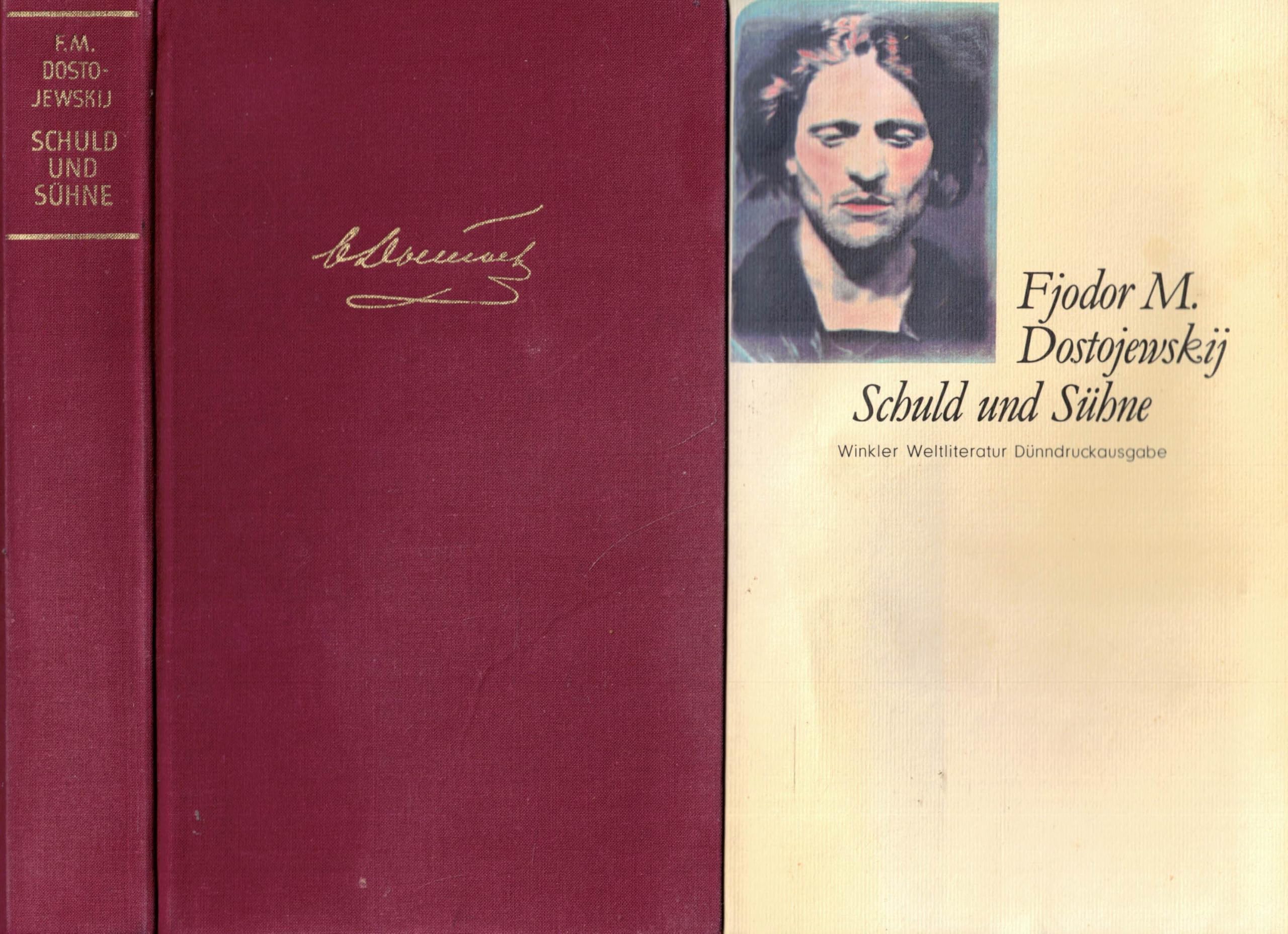 Schuld und Sühne . Rodion Raskolnikow (Artemis & Winkler - Blaue Reihe) Classics
