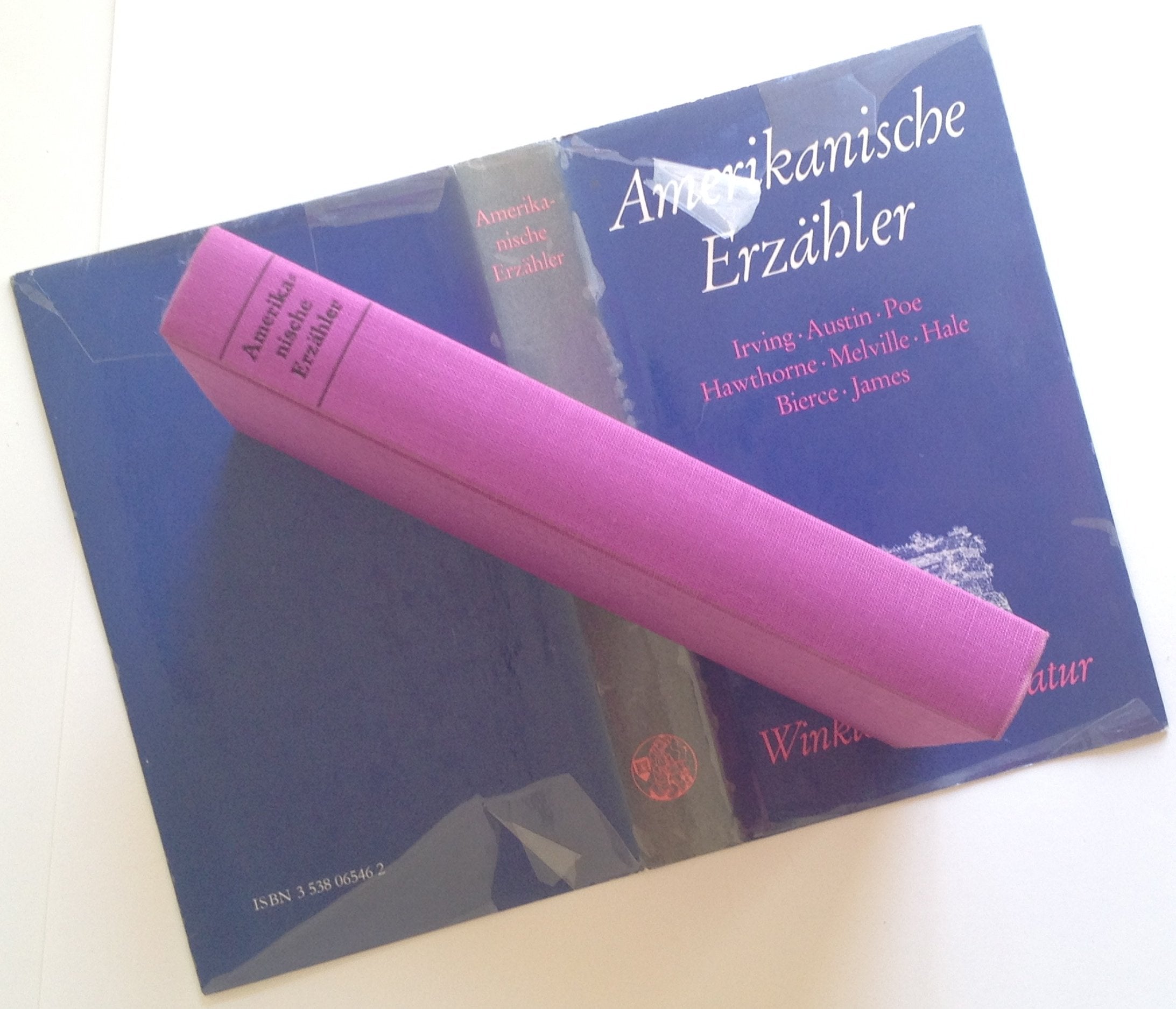 Amerikanische Erzähler Books