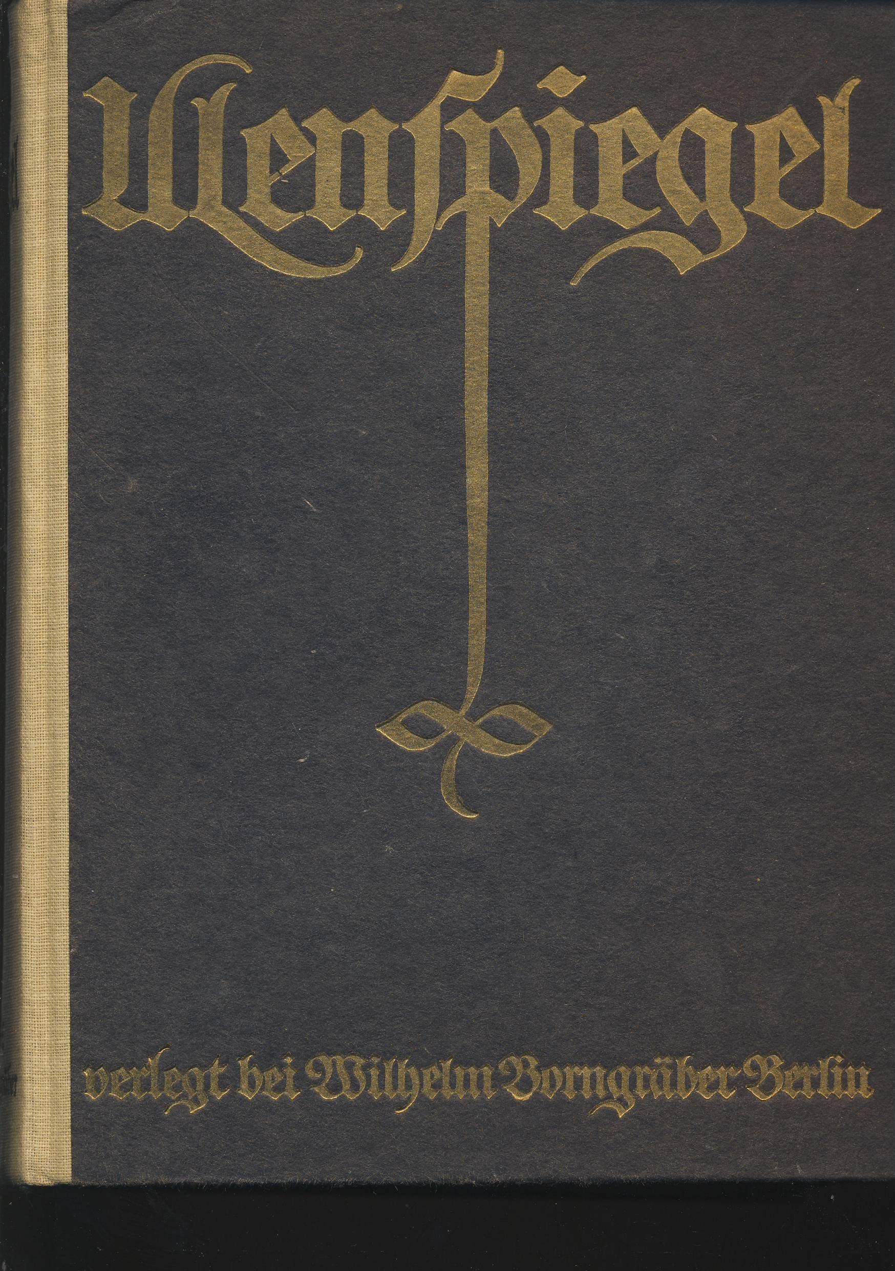 Ulenspiegel und Lamme Goedzak (Artemis & Winkler - Blaue Reihe) Books