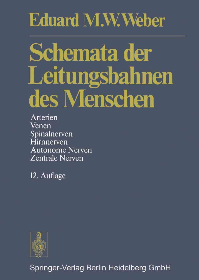Schemata der Leitungsbahnen des Menschen Medicine