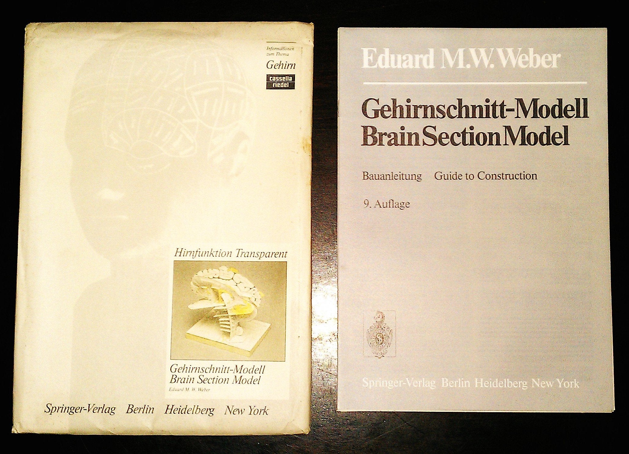 Gehirnschnitt-Modell/Brain Section Model: mit ausführlicher Bauanleitung / including a comprehensive guide to construction Medicine