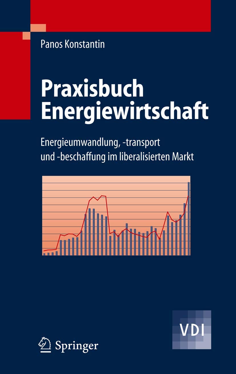 Praxisbuch Energiewirtschaft: Energieumwandlung, -transport und -beschaffung im liberalisierten Markt (VDI-Buch) Business, Finance & Career