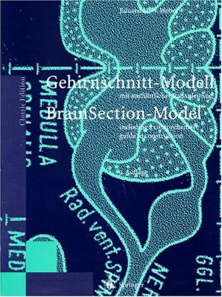 Gehirnschnitt-Modell/Brain Section Model: mit ausführlicher Bauanleitung / including a comprehensive guide to construction Medicine