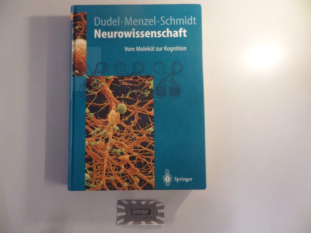 Neurowissenschaft: Vom Molekül zur Kognition (Springer-Lehrbuch) Medicine