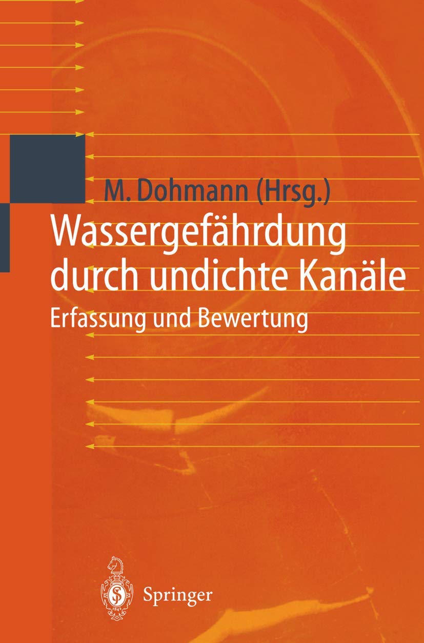 Wassergefährdung durch undichte Kanäle: Erfassung und Bewertung Business & Technology