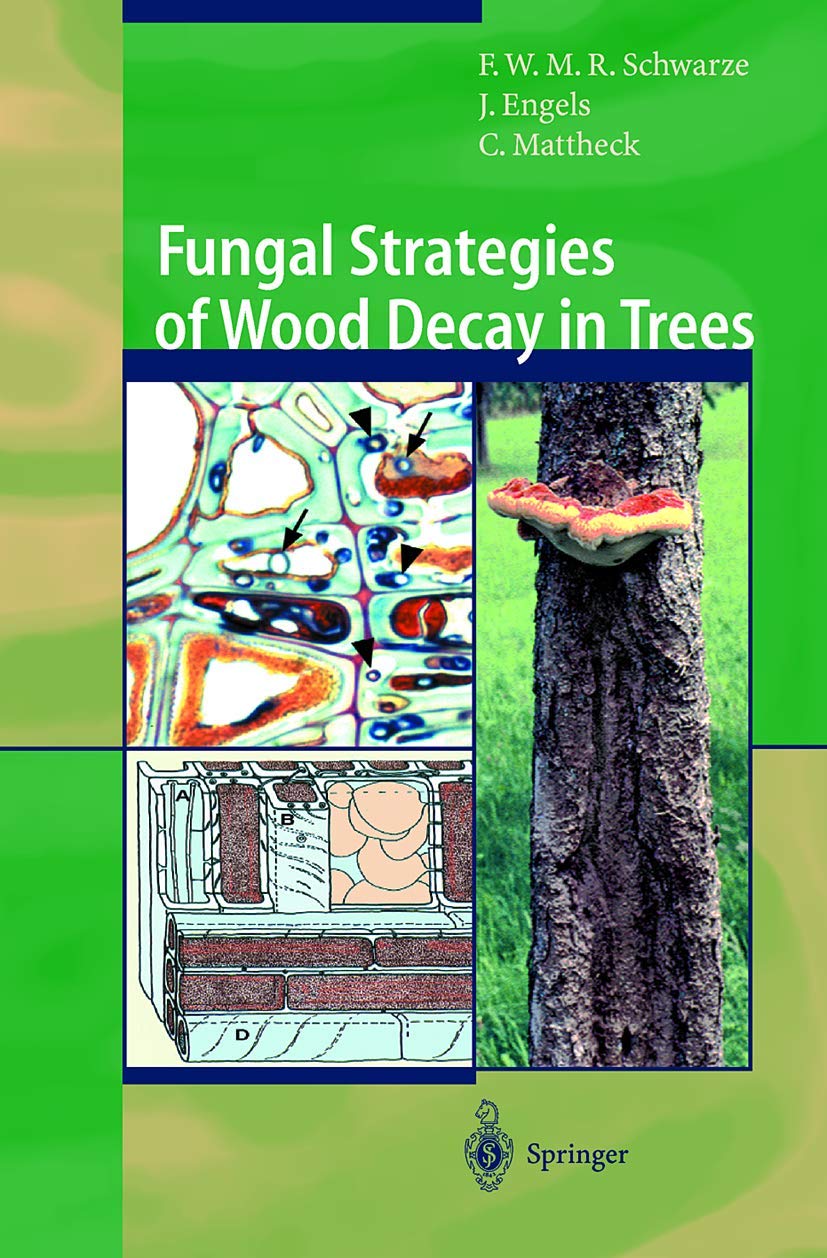 Fungal Strategies of Wood Decay in Trees Mathematics