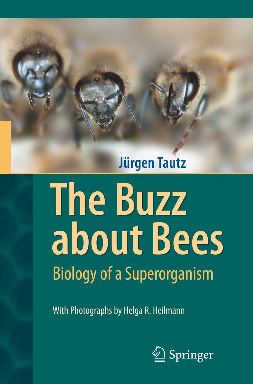 The Buzz about Bees: Biology of a Superorganism Mathematics