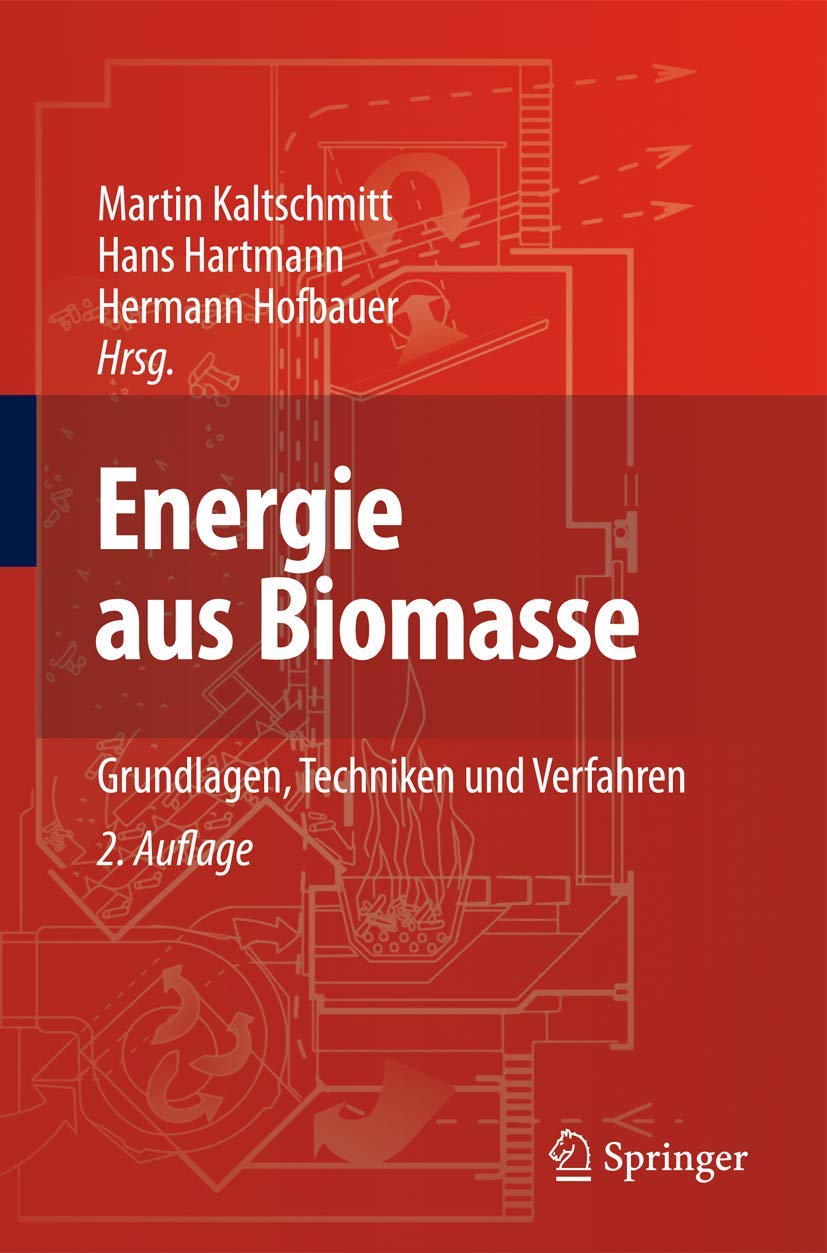 Energie aus Biomasse: Grundlagen, Techniken und Verfahren Business & Technology