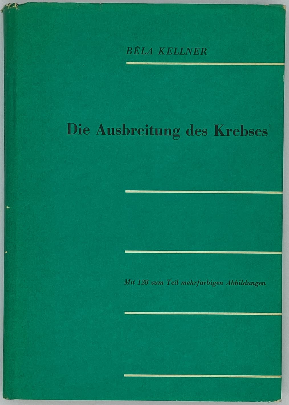 Die Ausbreitung des Krebses. Invasion und Metastasierung book