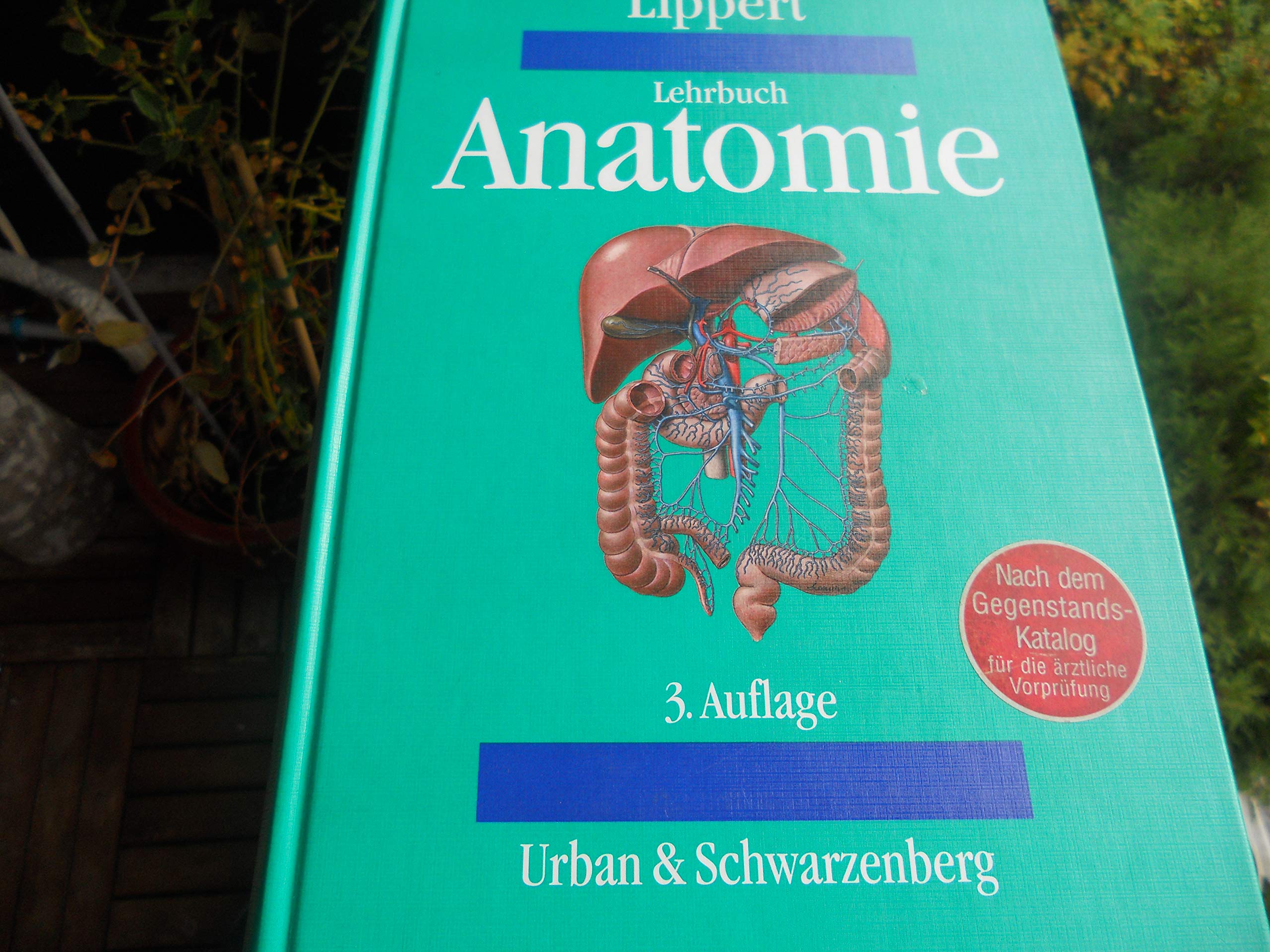 Lehrbuch Anatomie Medicine