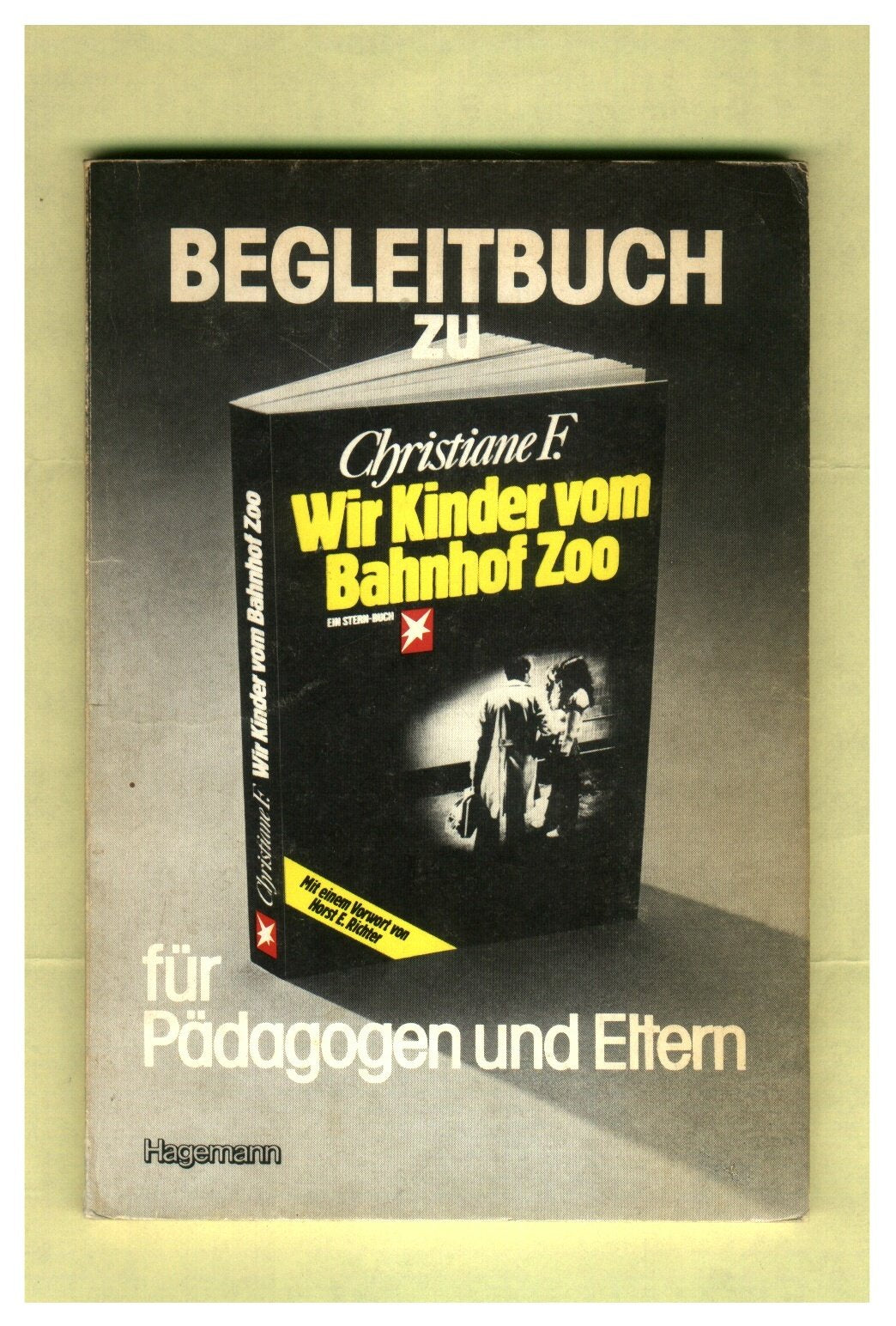 Begleitbuch für Pädagogen und Eltern zu "Christiane F. - Wir Kinder vom Bahnhof Zoo" Education & Training