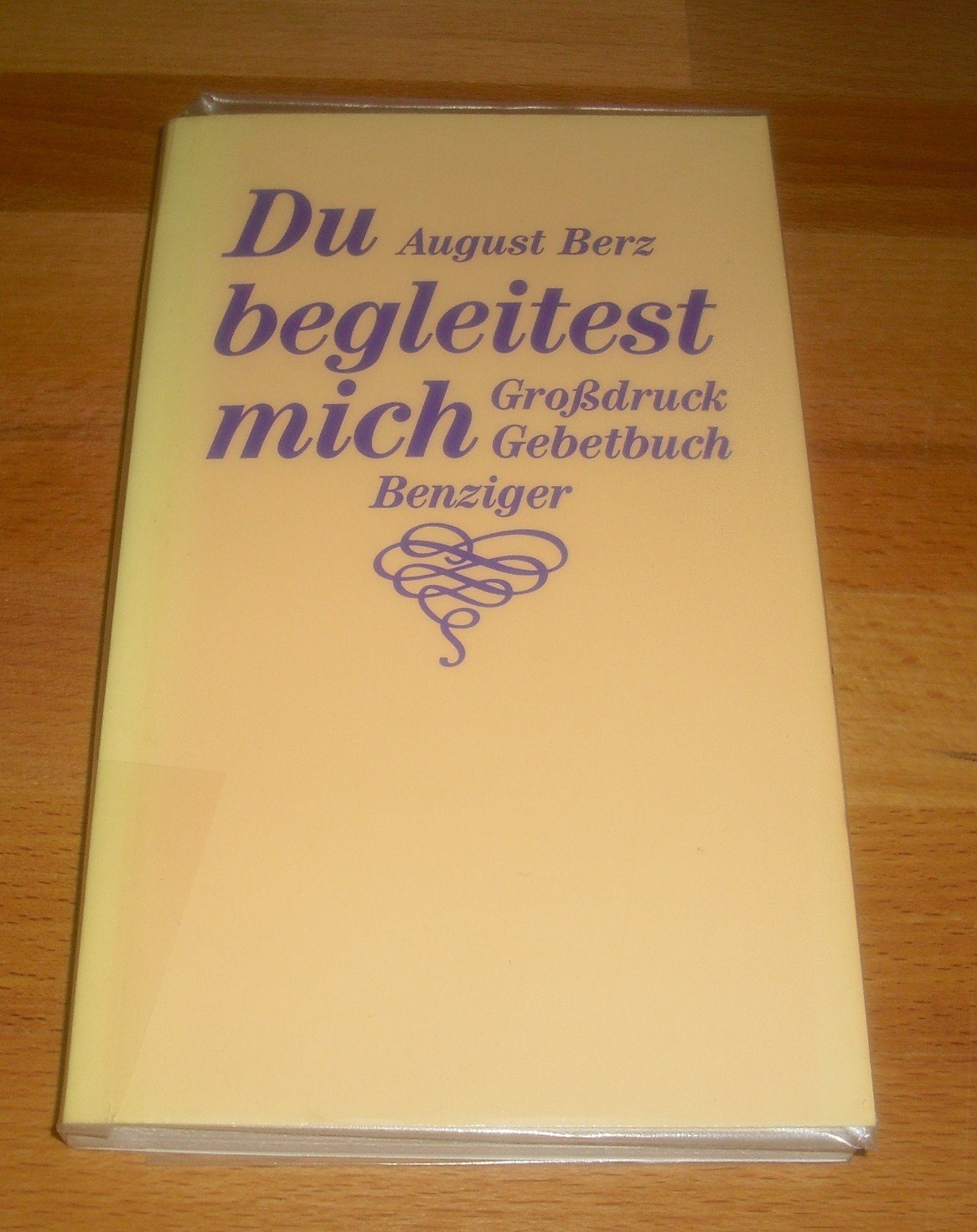Du begleitest mich. Grossdruck-Gebetbuch Fiction