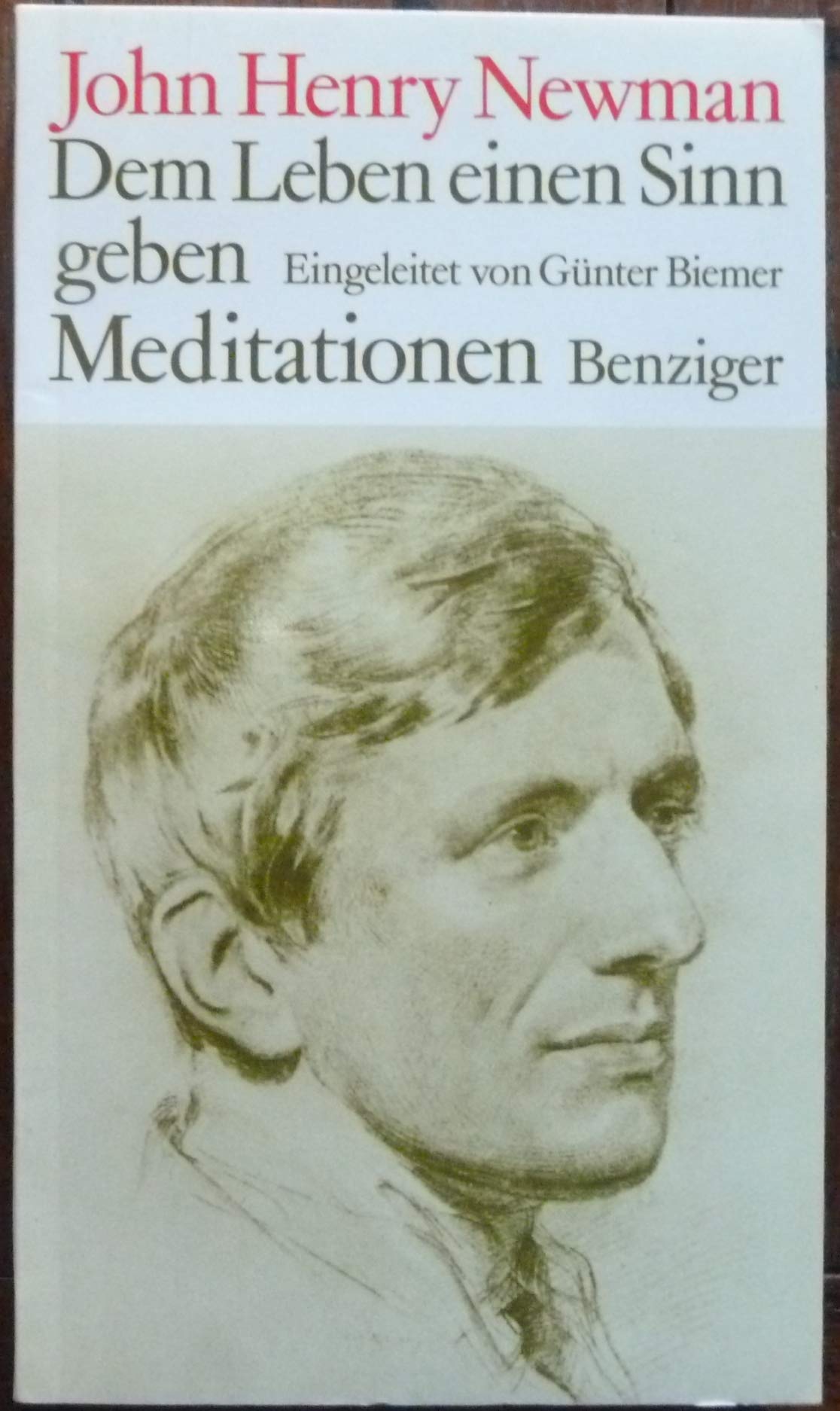 Dem Leben einen Sinn geben. Meditationen Religion & Esotericism