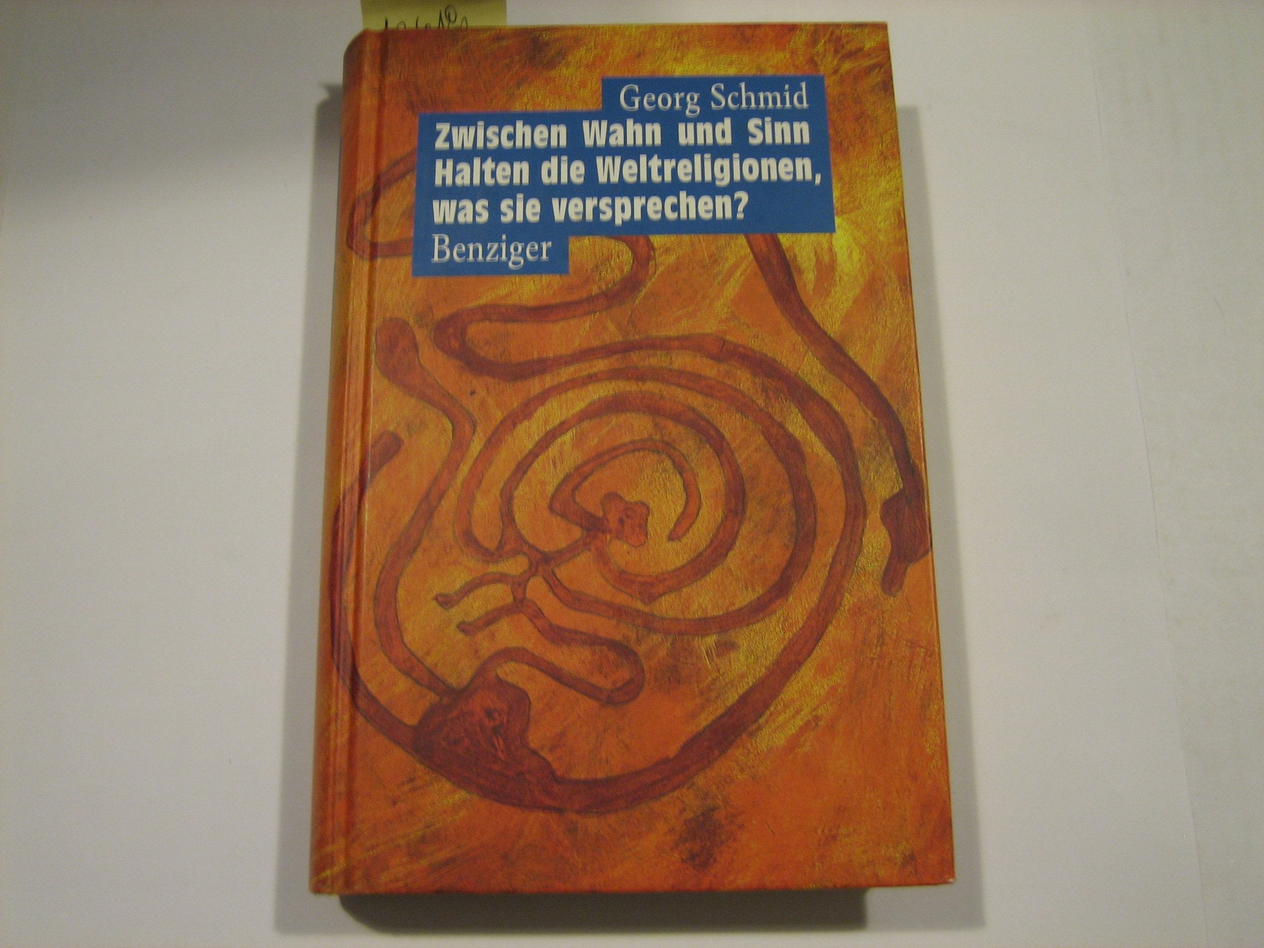 Zwischen Wahn und Sinn Religion & Esotericism