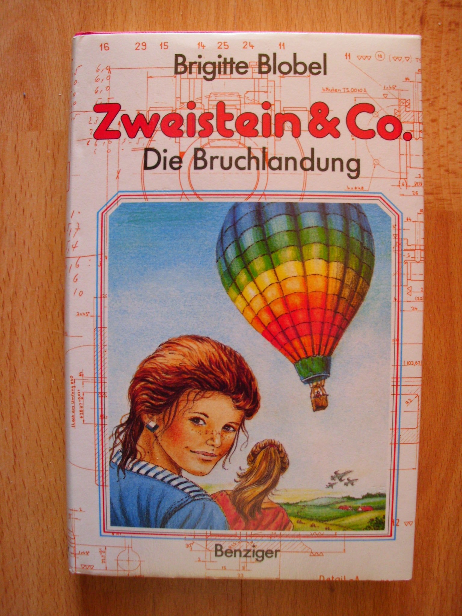 Zweistein und Co. Die Bruchlandung Books