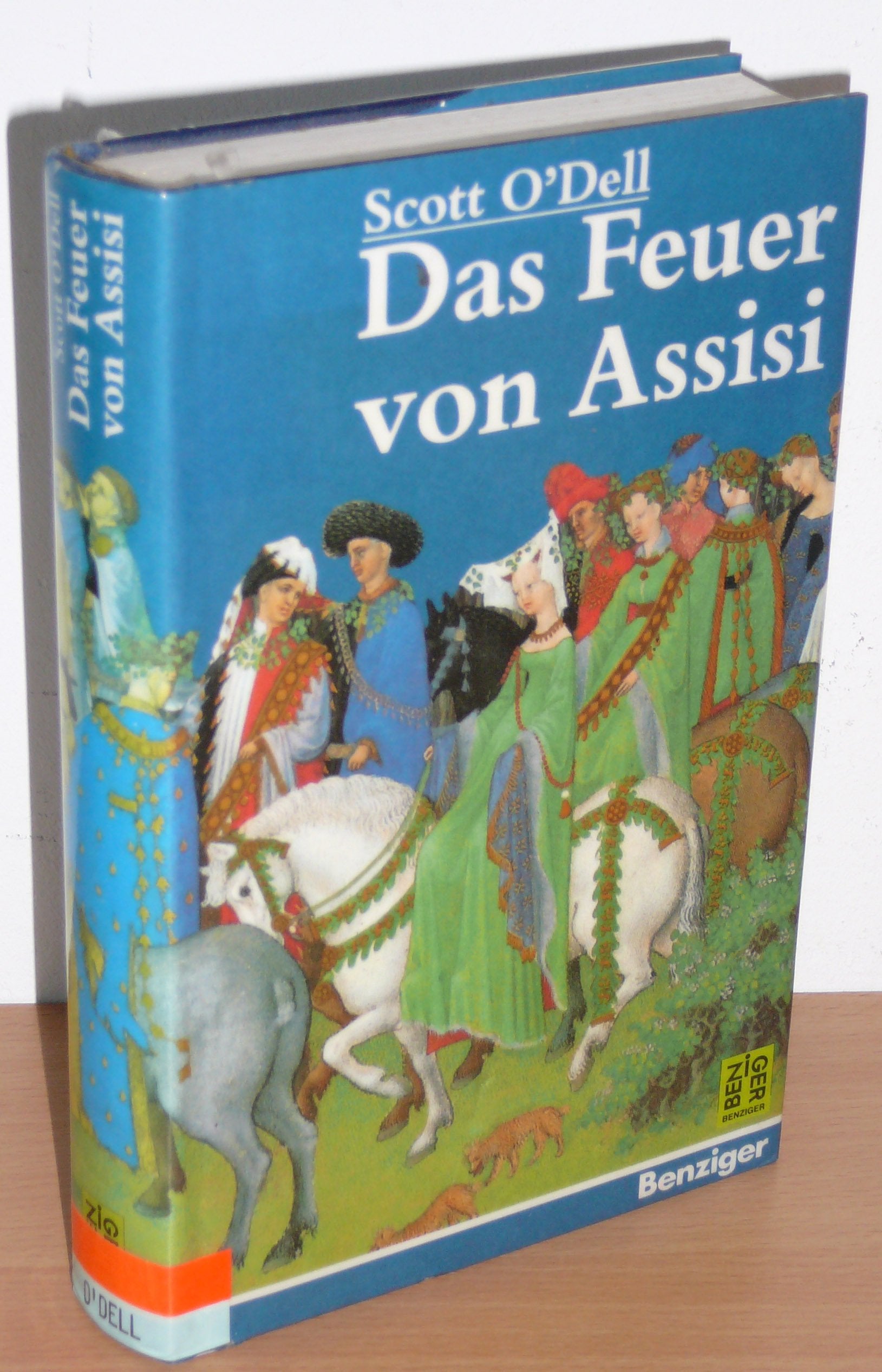 Das Feuer von Assisi. Jugendroman Books