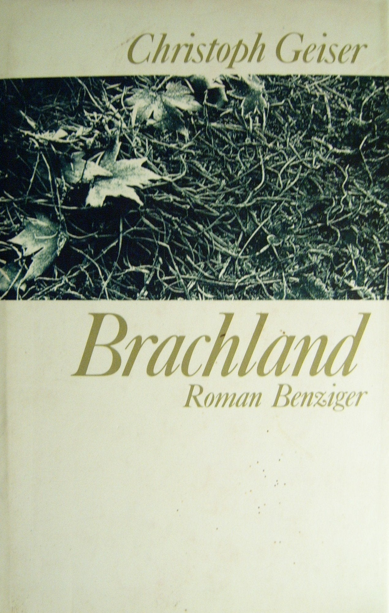 Product Image: Brachland: Roman
