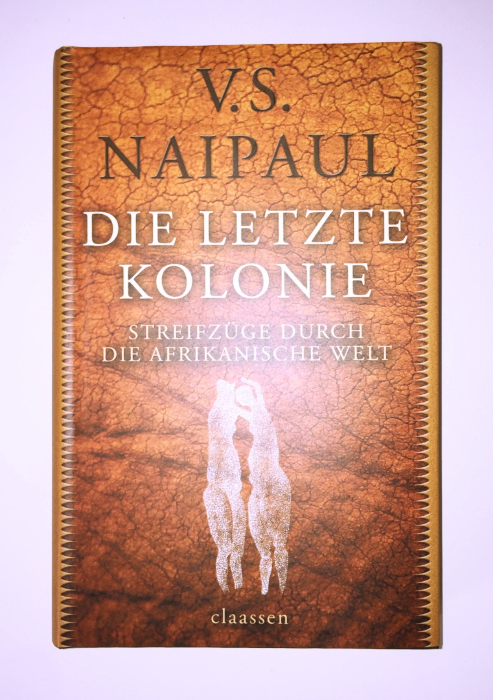 Die letzte Kolonie: Streifzüge durch die afrikanische Welt Contemporary literature