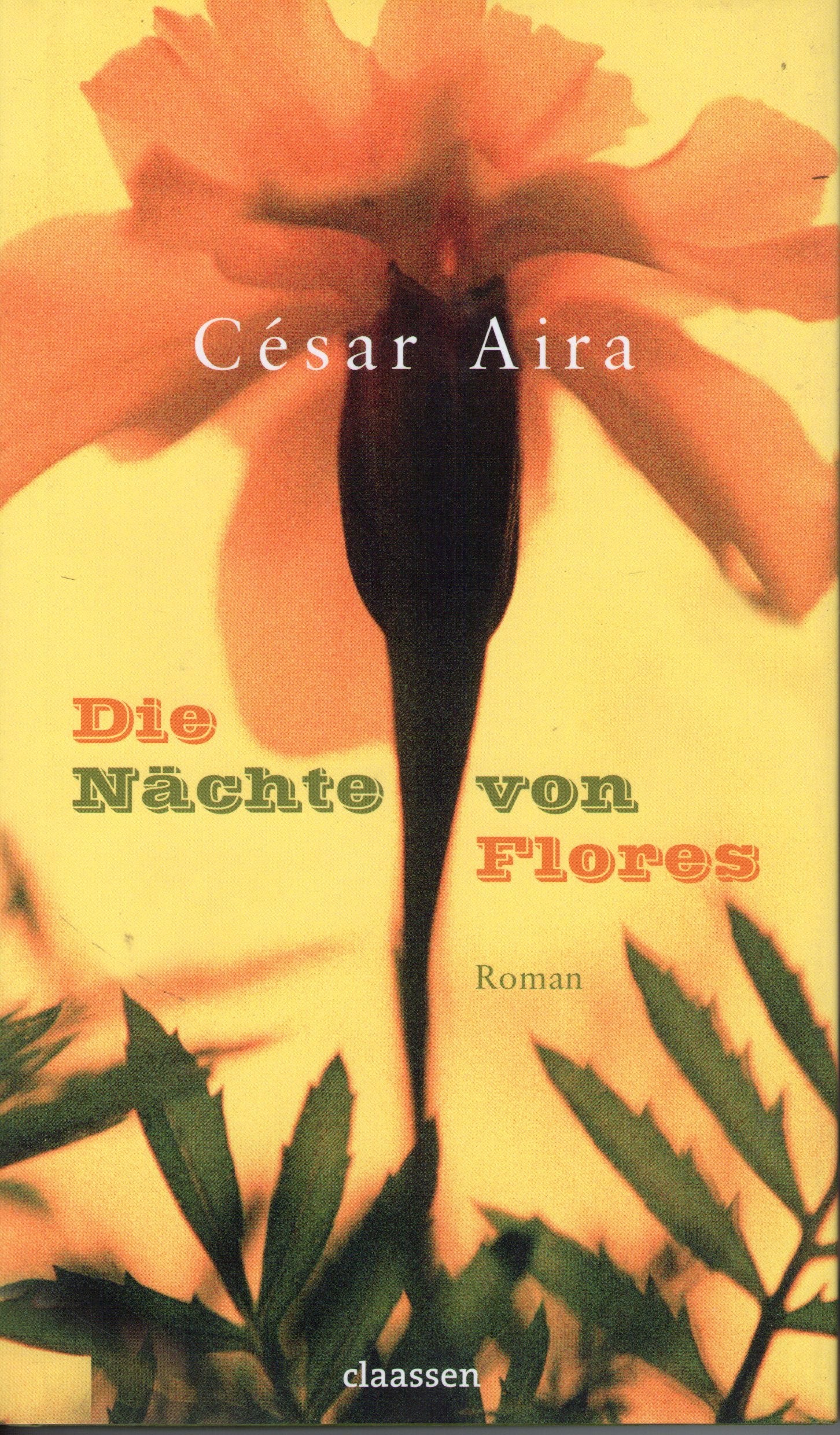 Die Nächte von Flores Contemporary literature Books