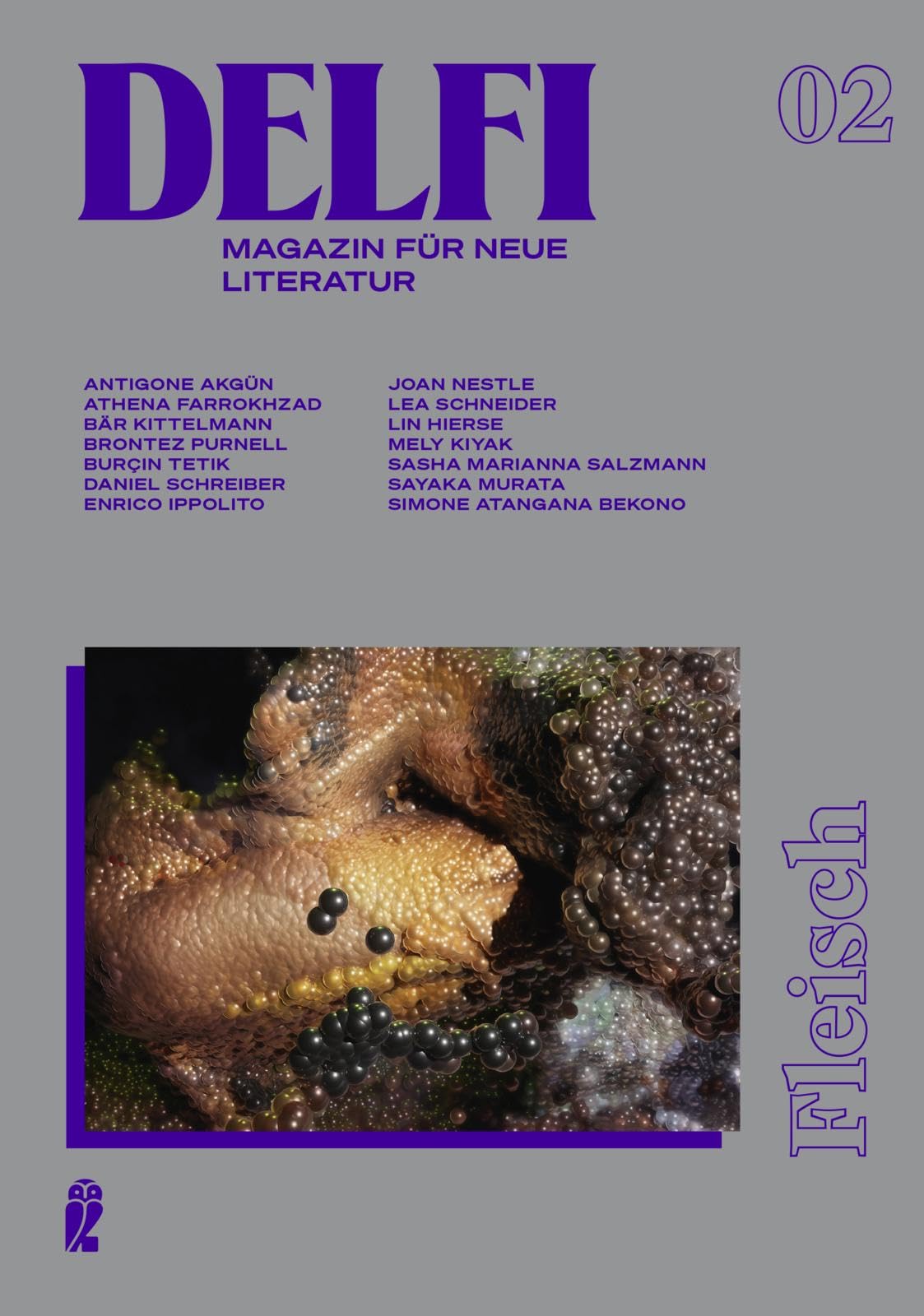 Delfi Fleisch Contemporary literature Books