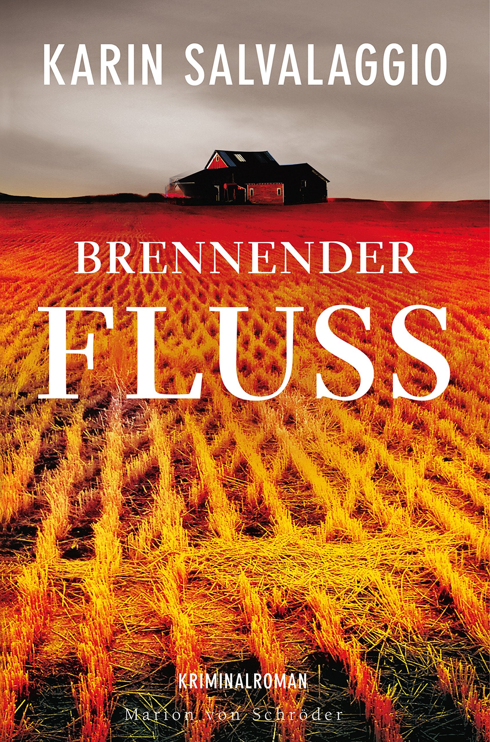 Brennender Fluss Contemporary literature Books