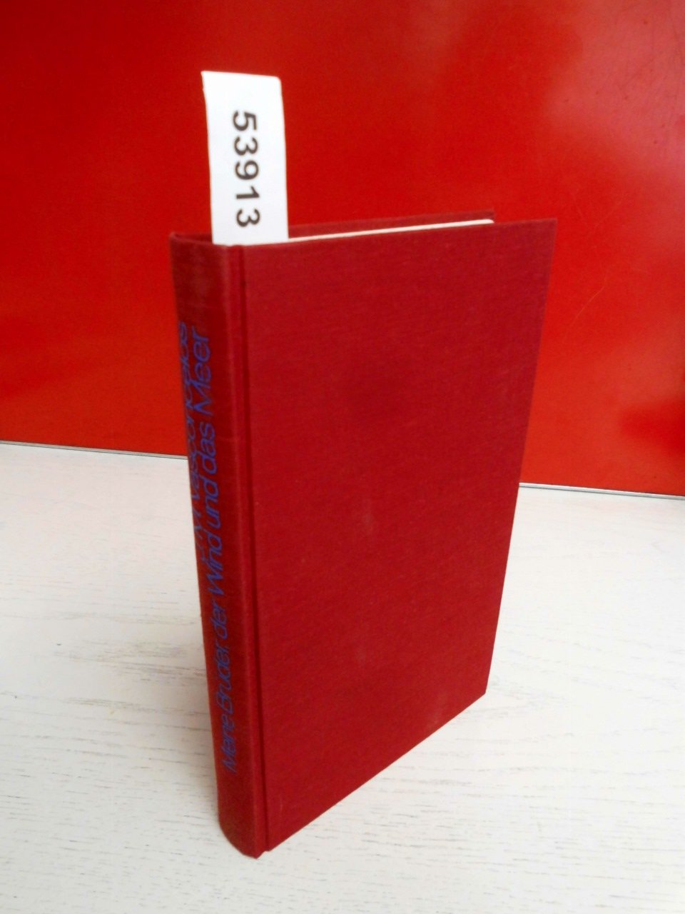 Meine Brüder, der Wind und das Meer : Roman. Books