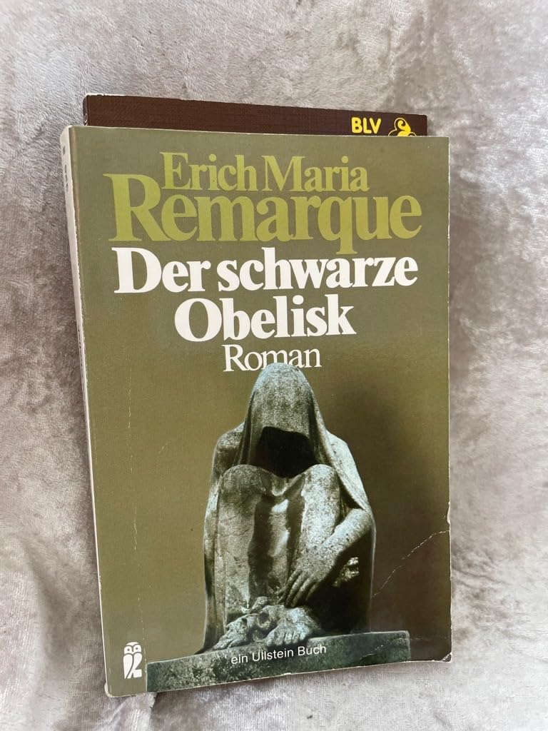 Der schwarze Obelisk. Geschichte einer verspäteten Jugend. Classics