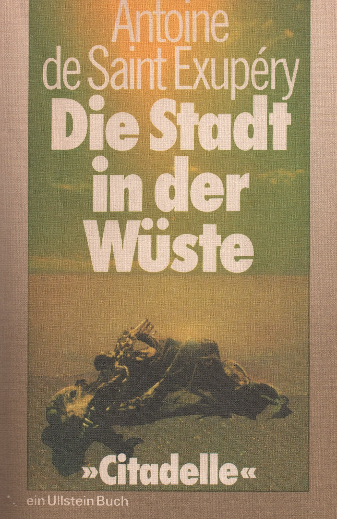 Die Stadt in der Wüste (Citadelle) Books