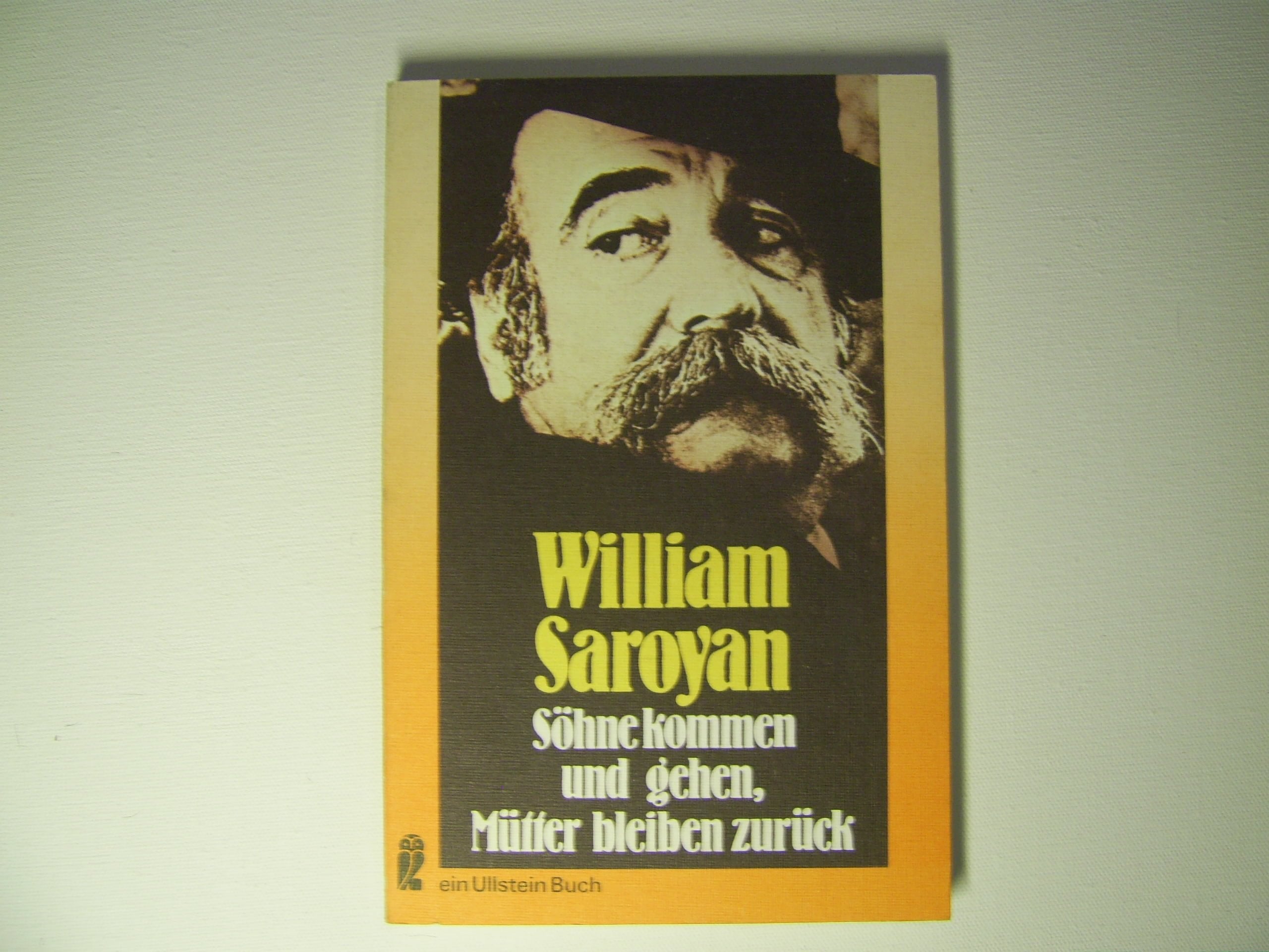 Söhne kommen und gehen, Mütter bleiben zurück. Professional & Reference Books