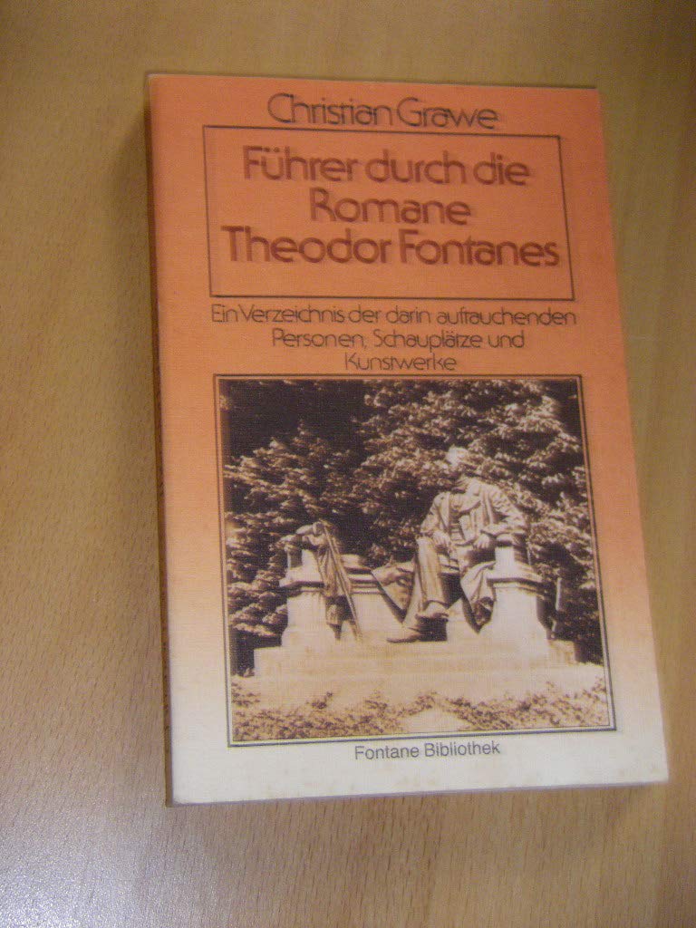 Führer durch die Romane Theodor Fontanes Professional & Reference Books