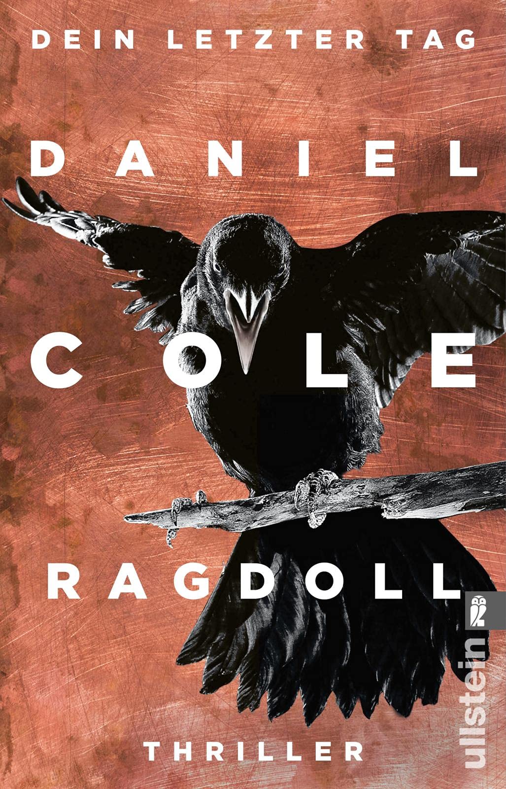 Ragdoll - Dein letzter Tag Contemporary literature Books