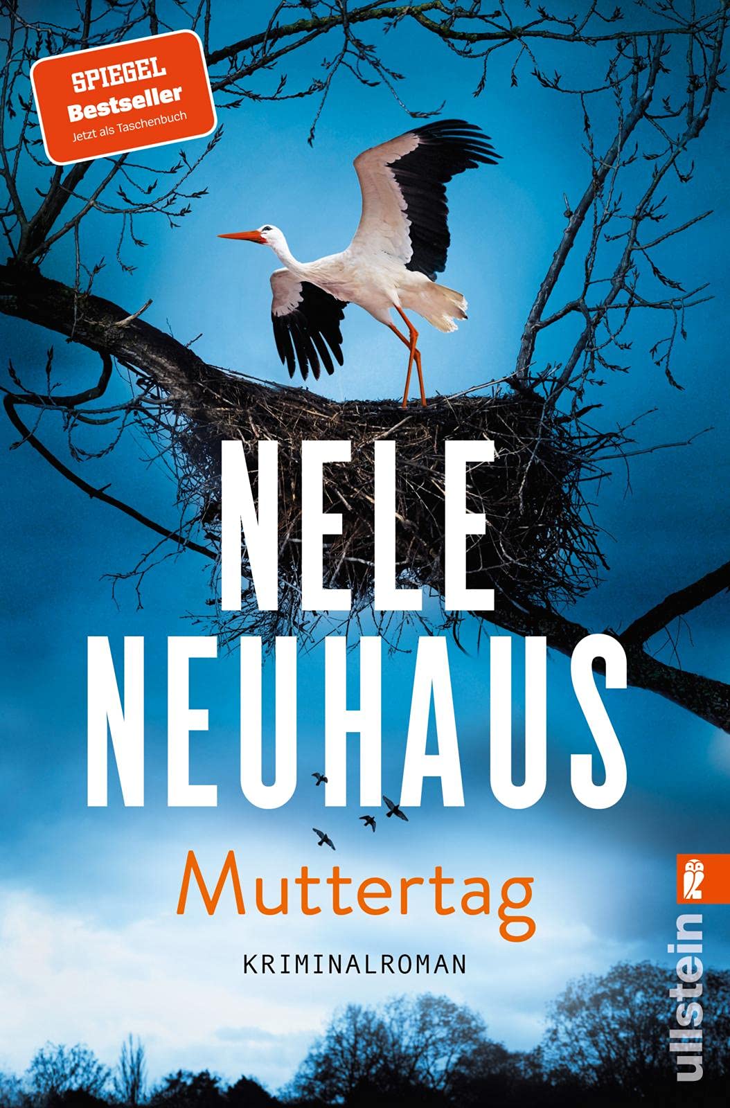 Muttertag Contemporary literature Books