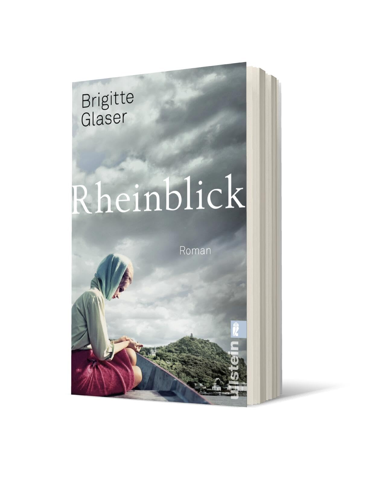 Rheinblick Contemporary literature Books