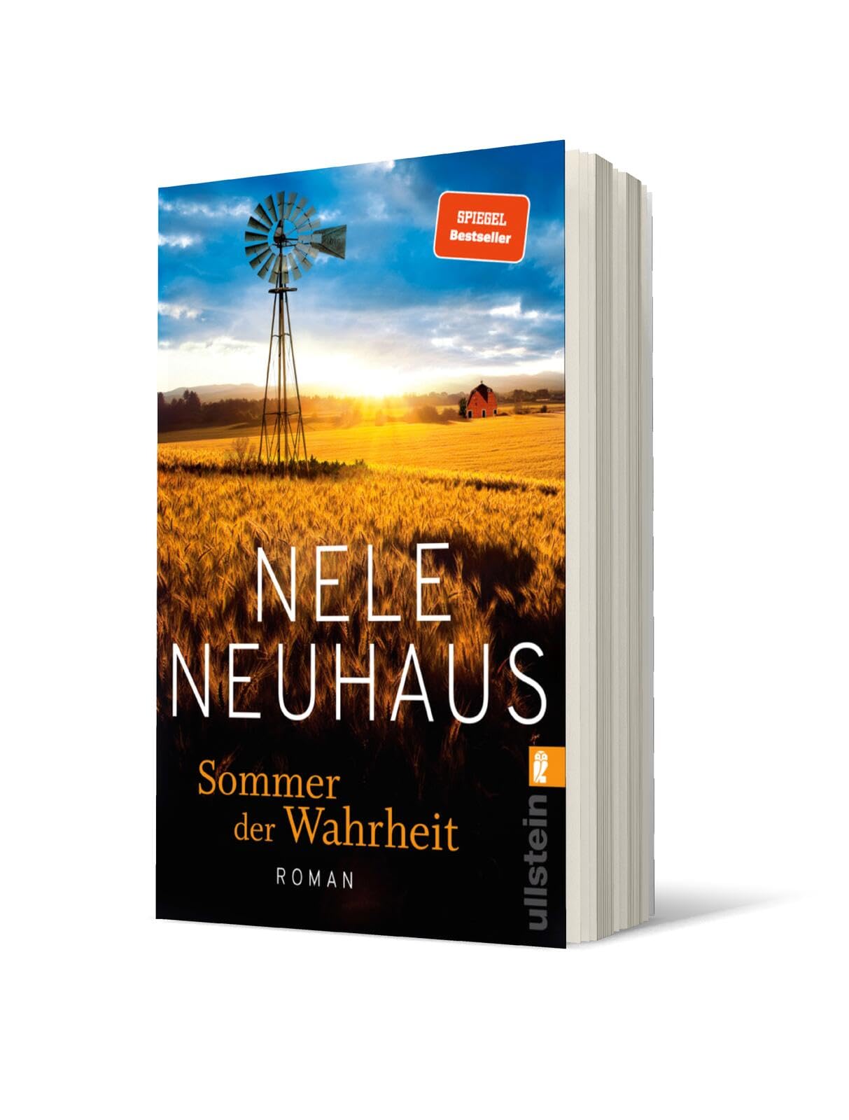 Sommer der Wahrheit Contemporary literature
