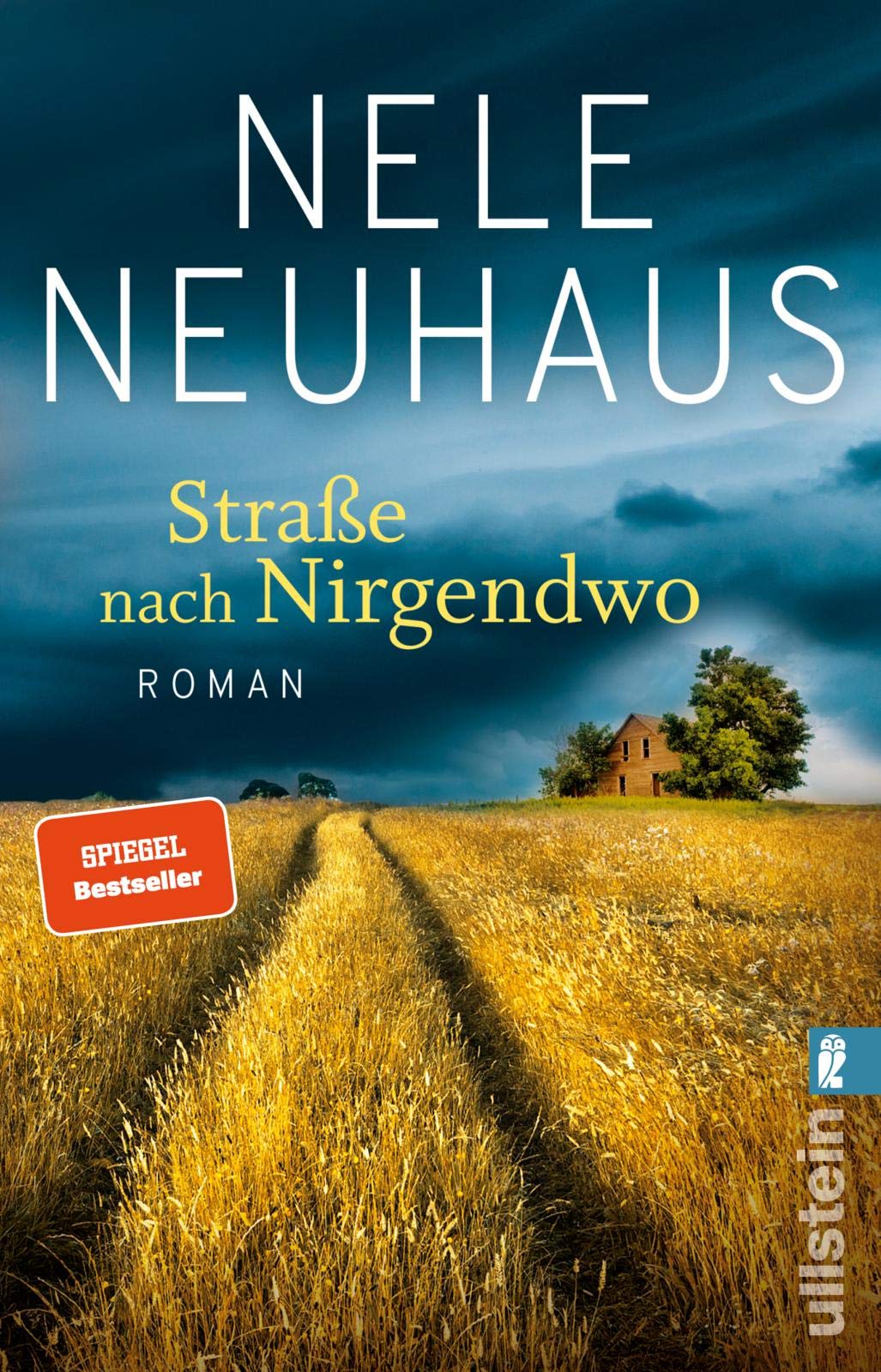 Straße nach Nirgendwo Contemporary literature Books