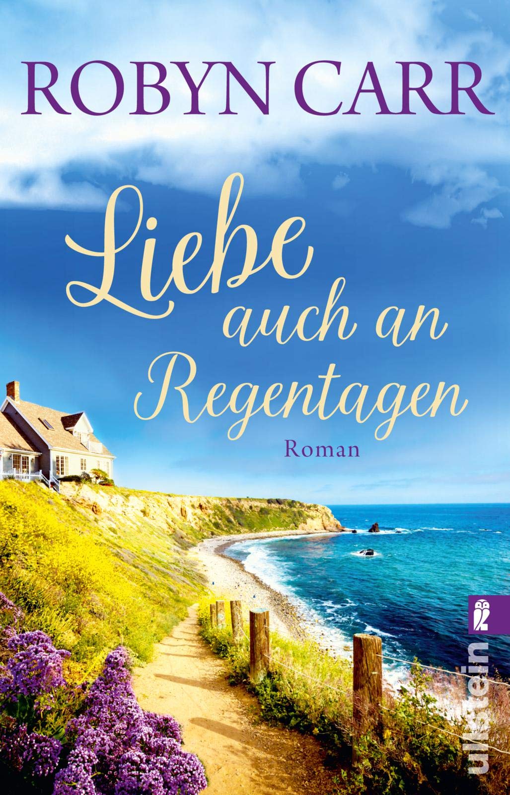 Liebe auch an Regentagen Contemporary literature