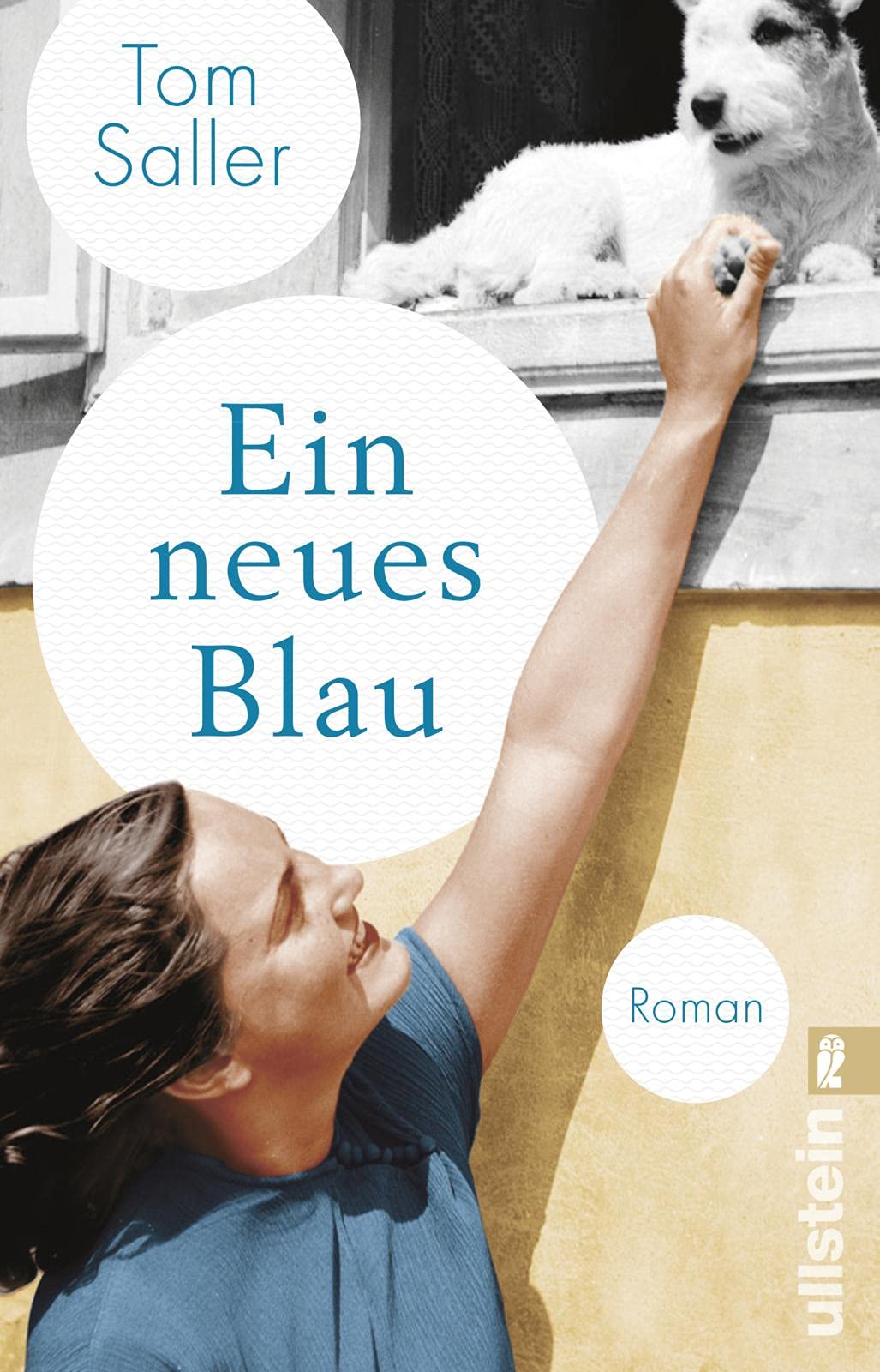 Ein neues Blau Contemporary literature Books