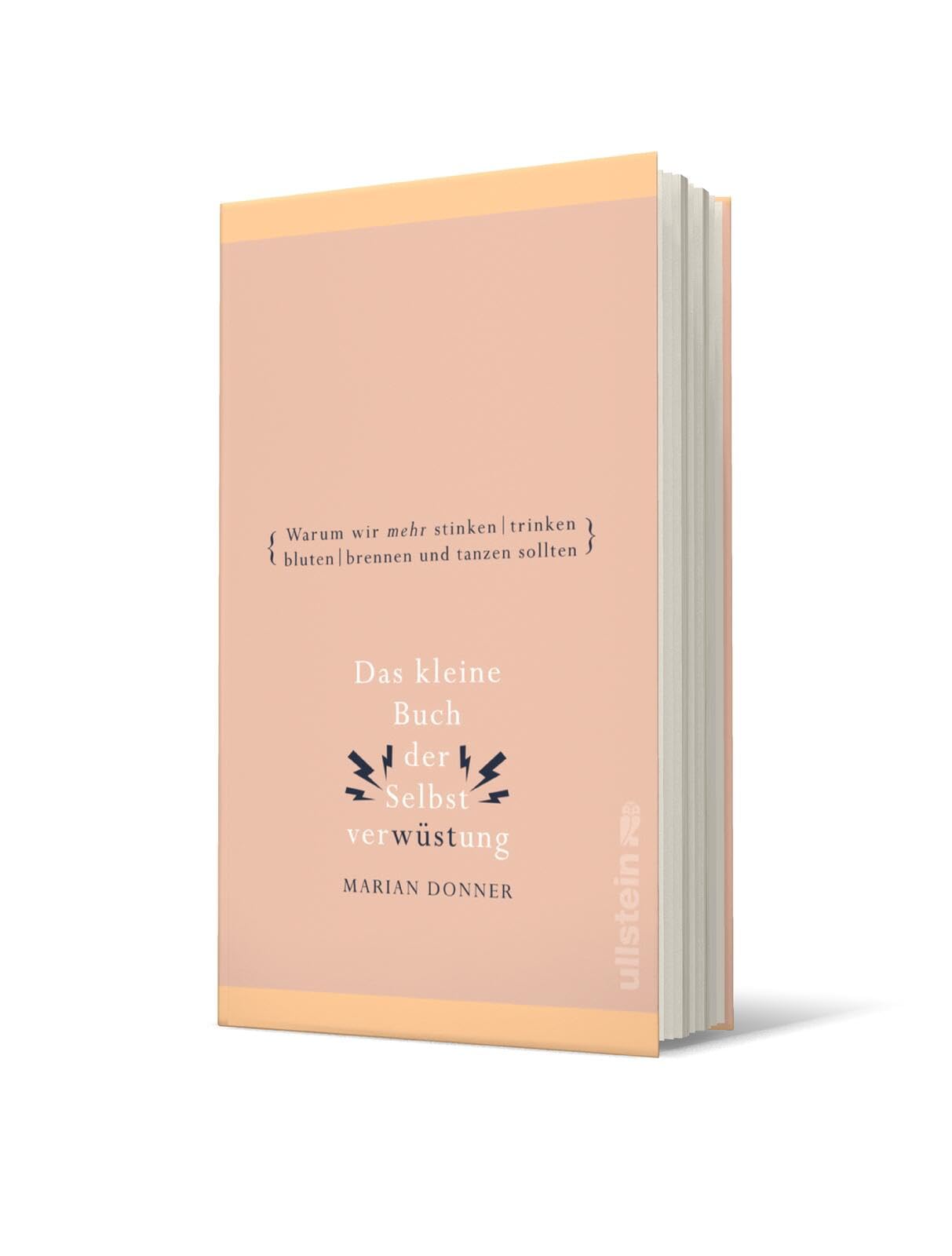 Das kleine Buch der Selbstverwüstung Books
