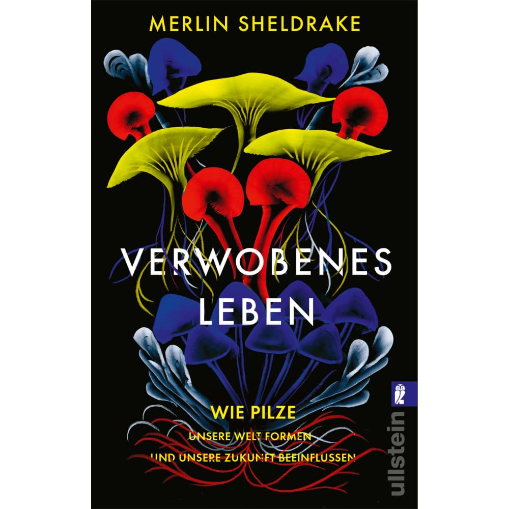 Verwobenes Leben Mathematics Books