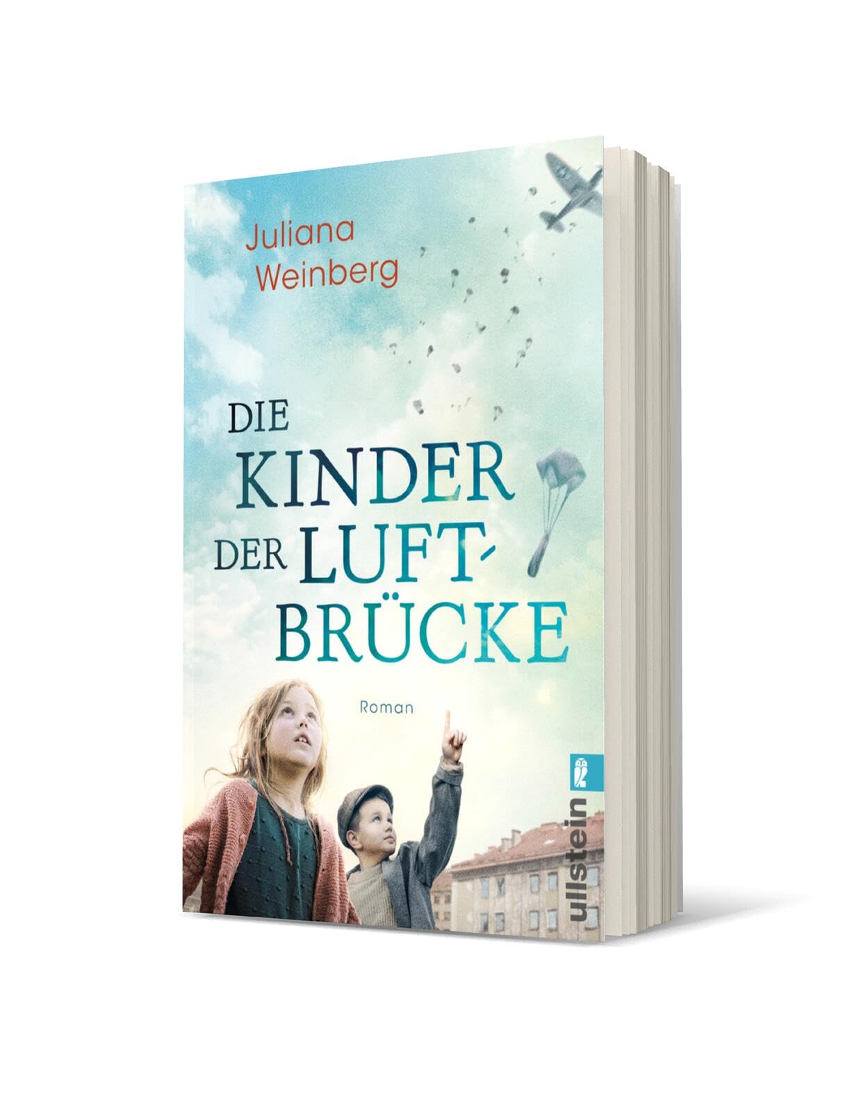 Die Kinder der Luftbrücke Contemporary literature