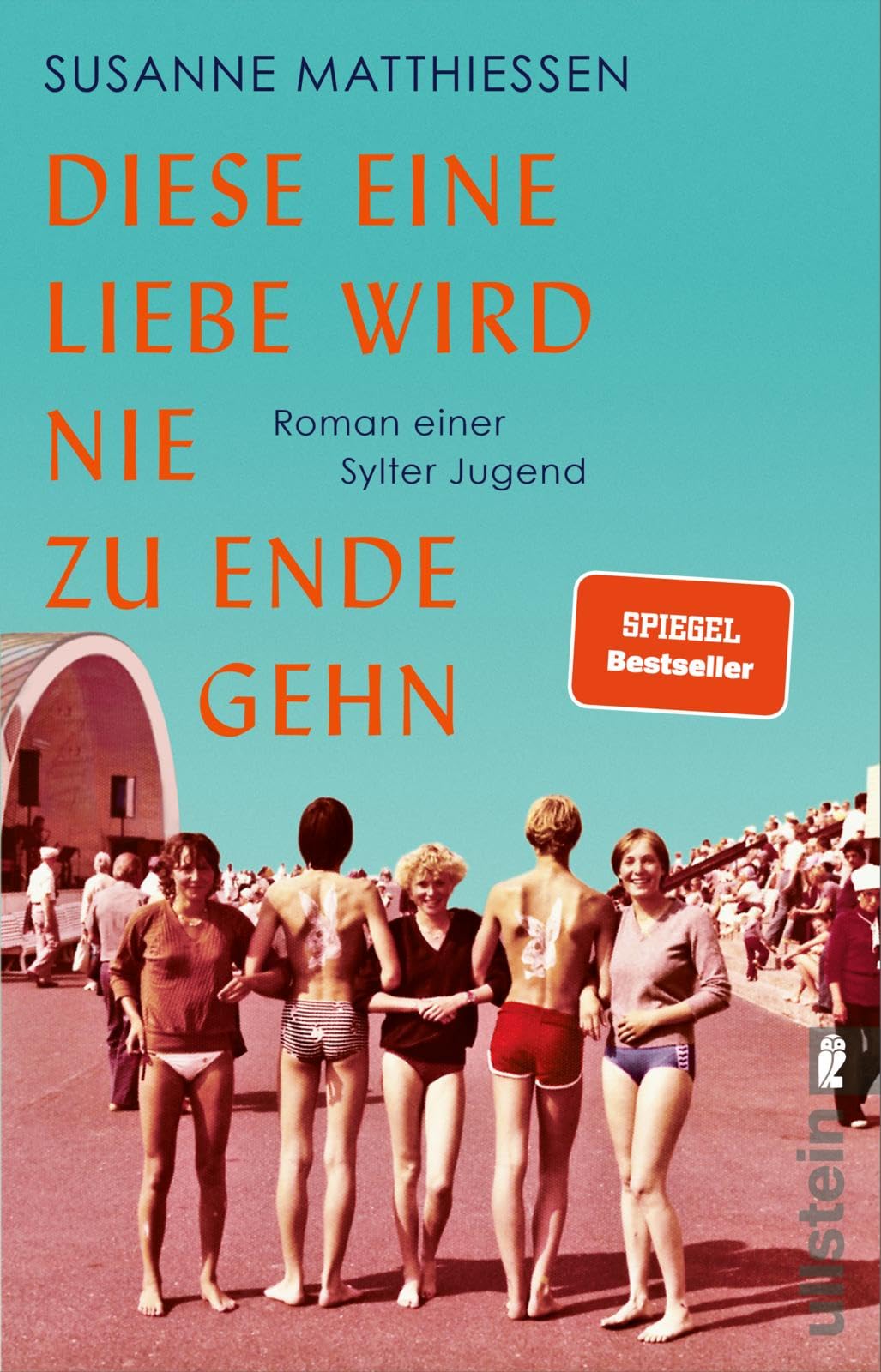 Diese eine Liebe wird nie zu Ende gehn Contemporary literature